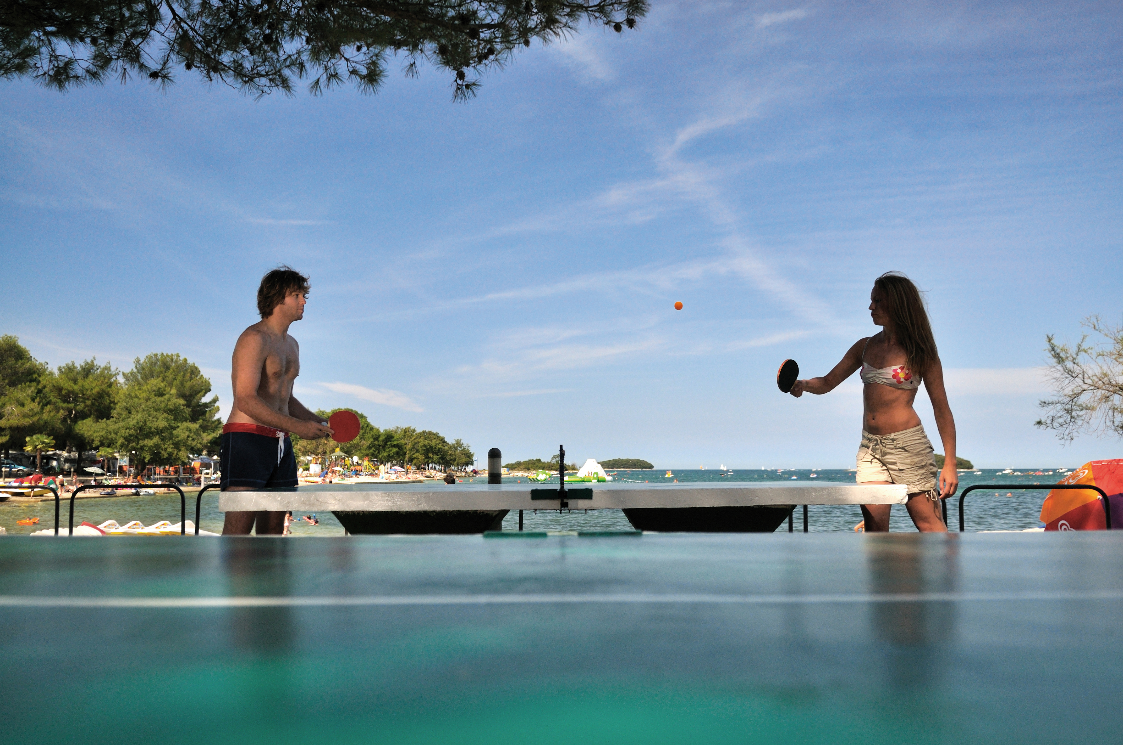 Sports and Entertainment