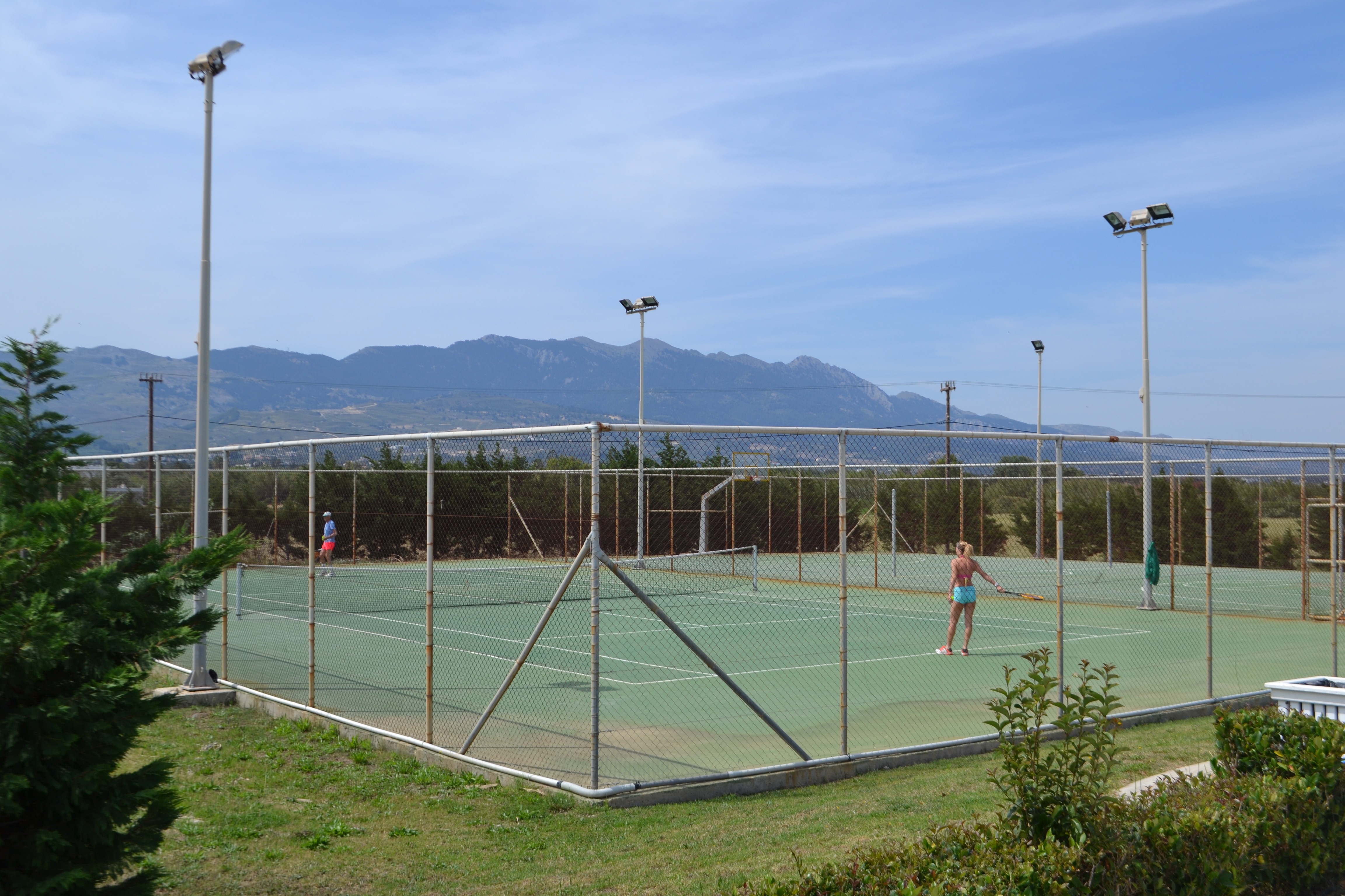 Sports and Entertainment