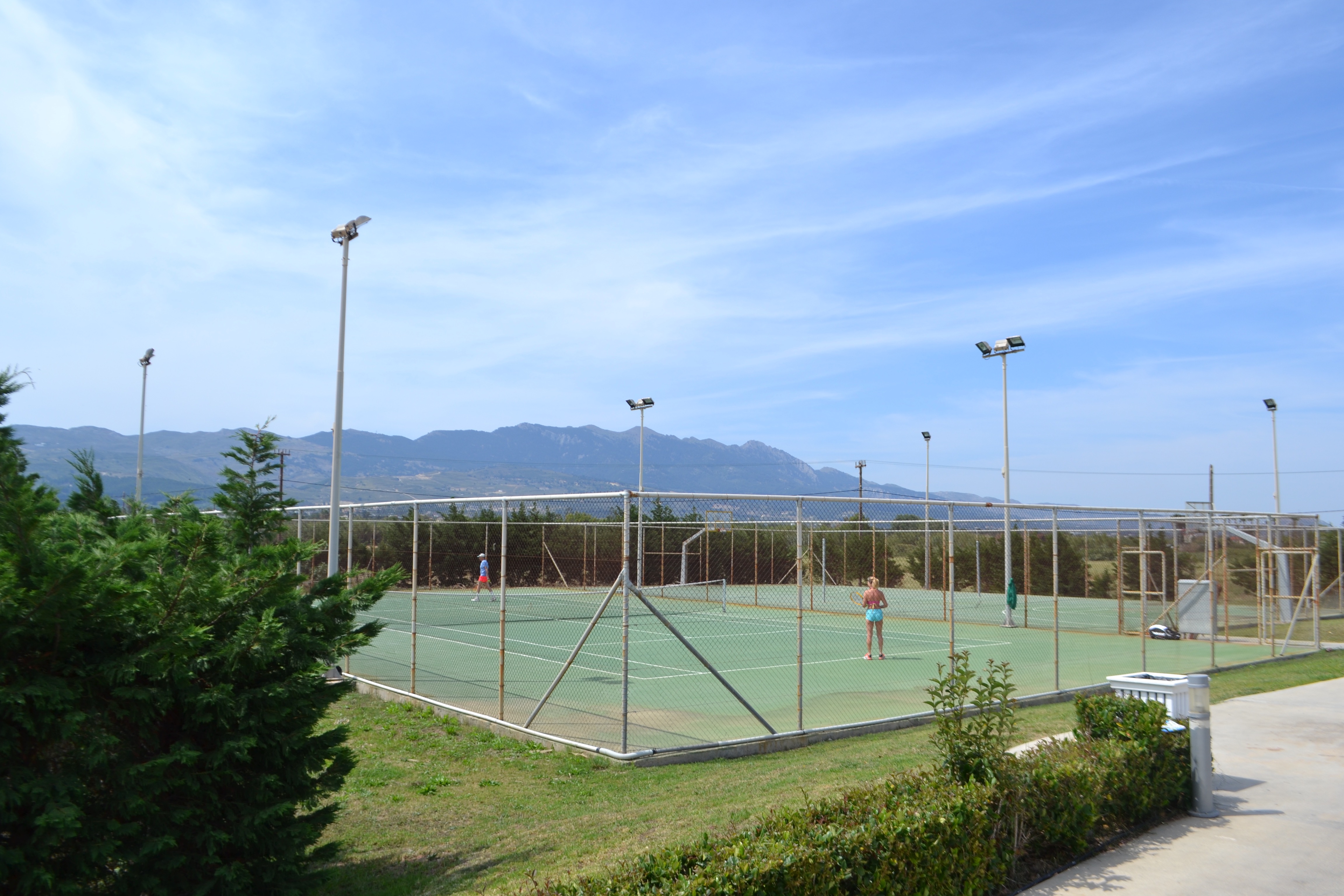 Sports and Entertainment