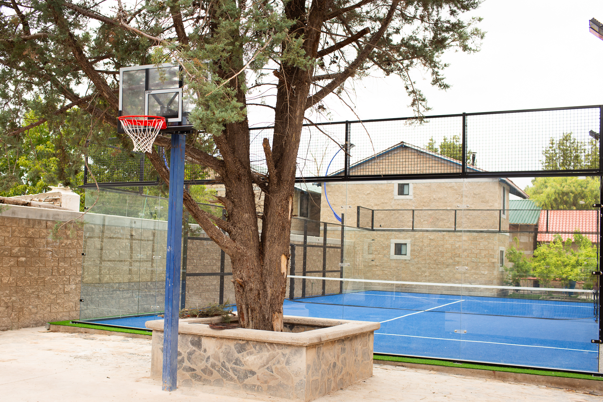 Sports and Entertainment