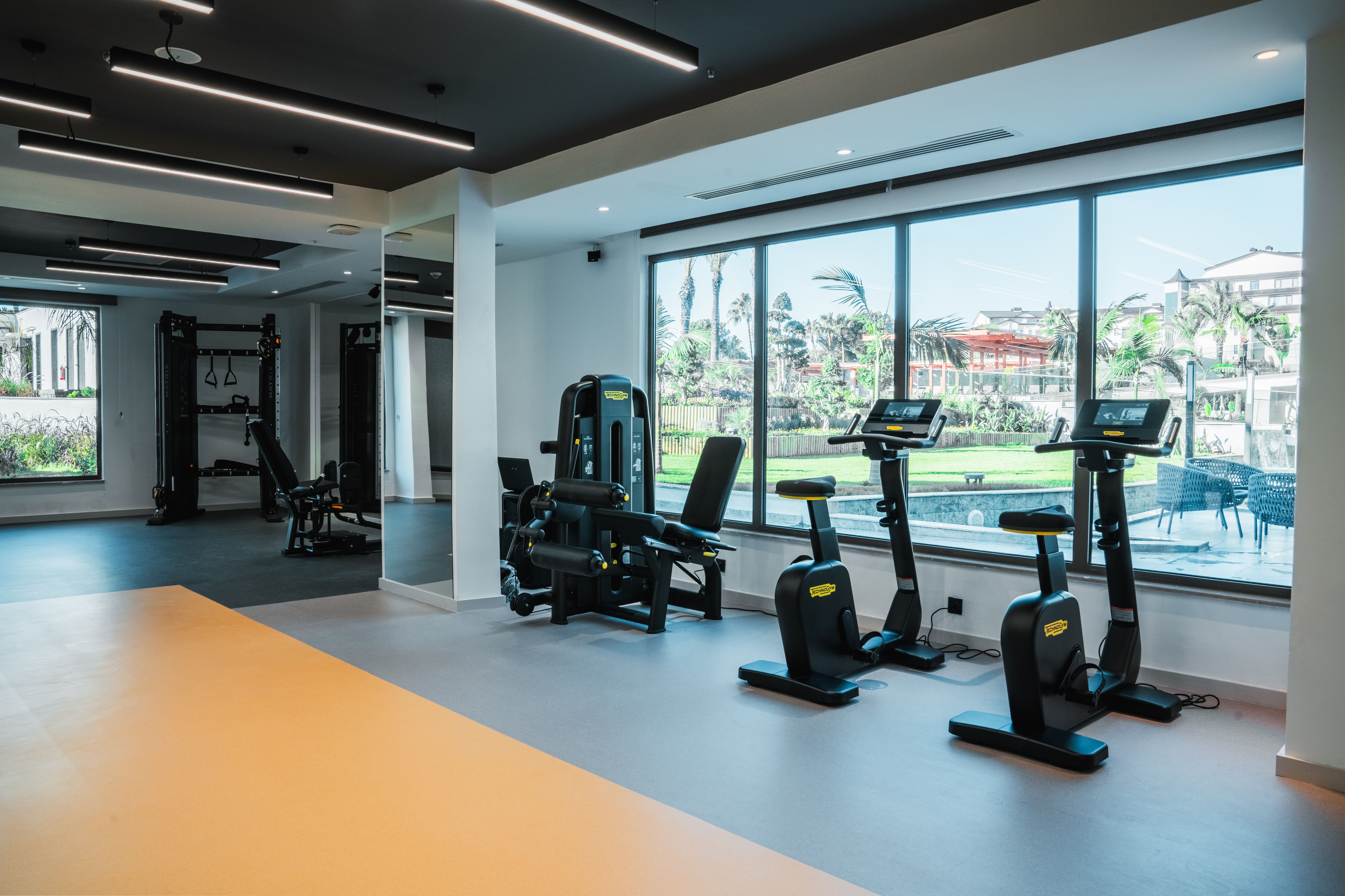 Sports and Entertainment