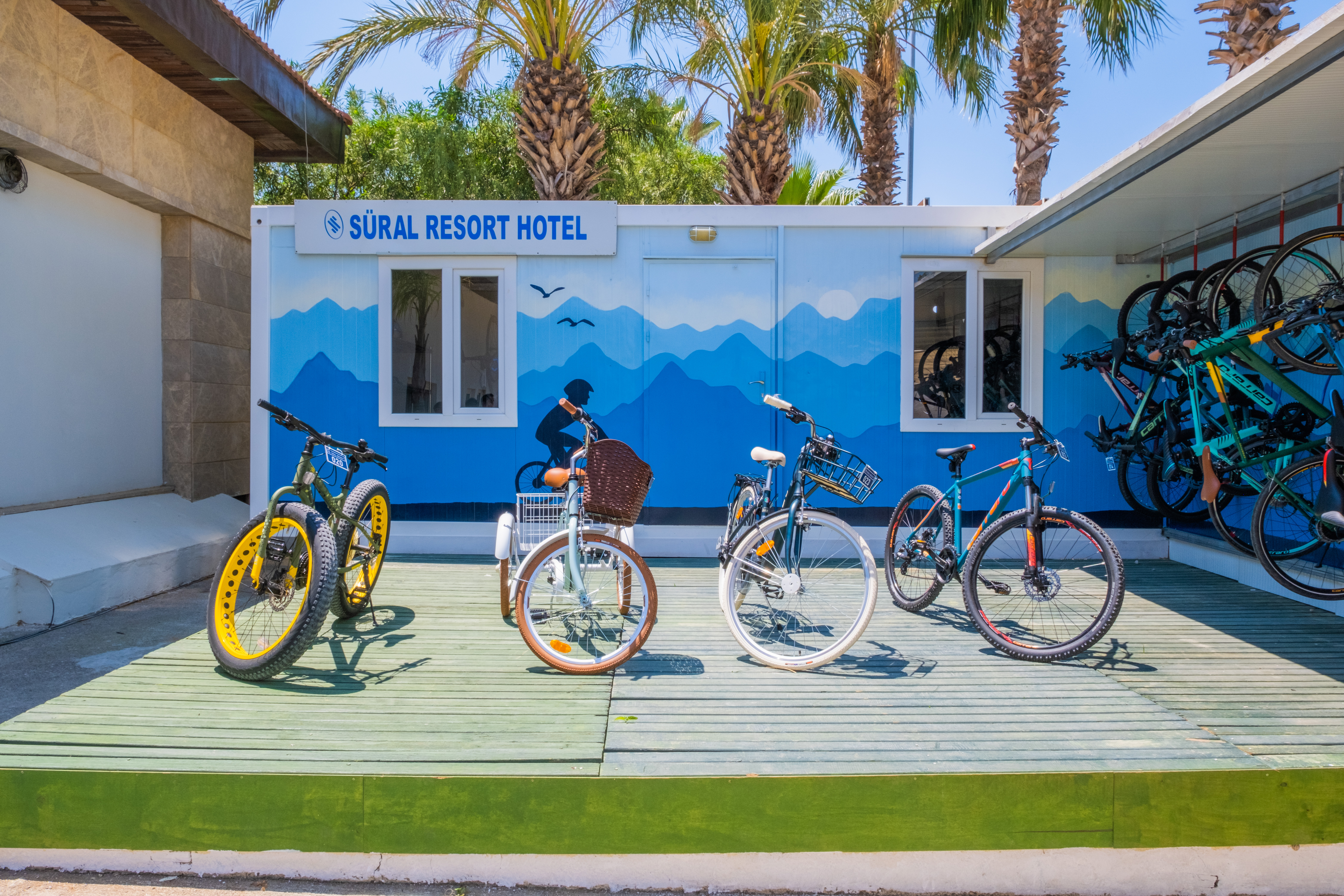 Sports and Entertainment