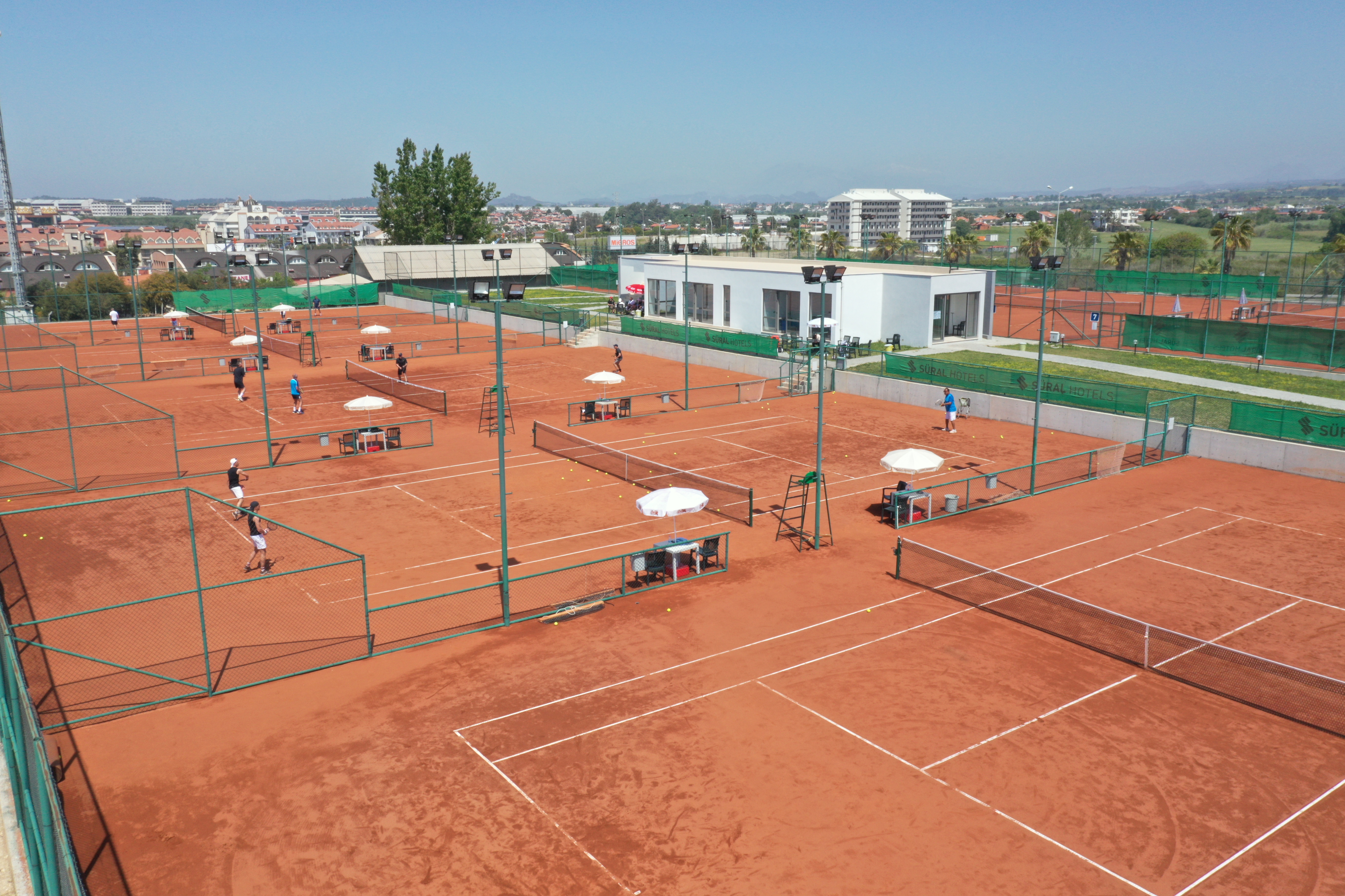 Sports and Entertainment