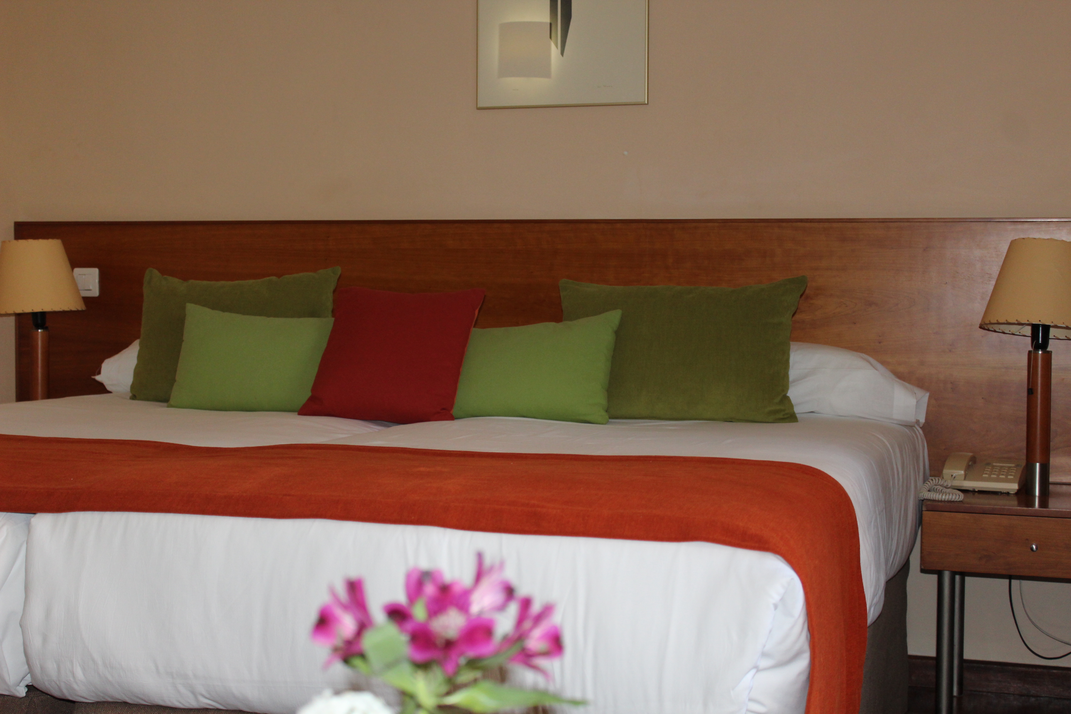 Double or Twin Standard