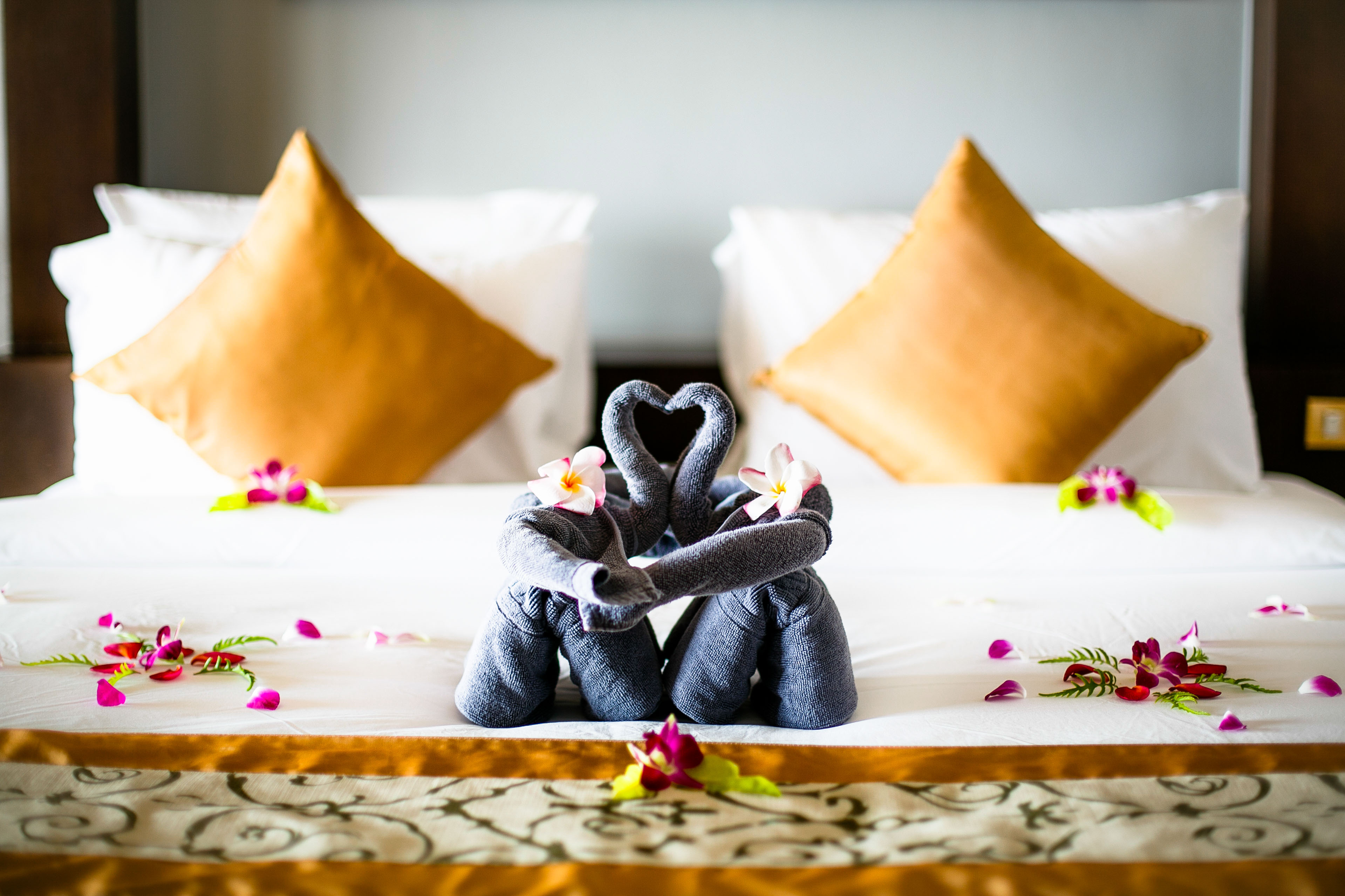 Double or Twin Guest Room Ocean View