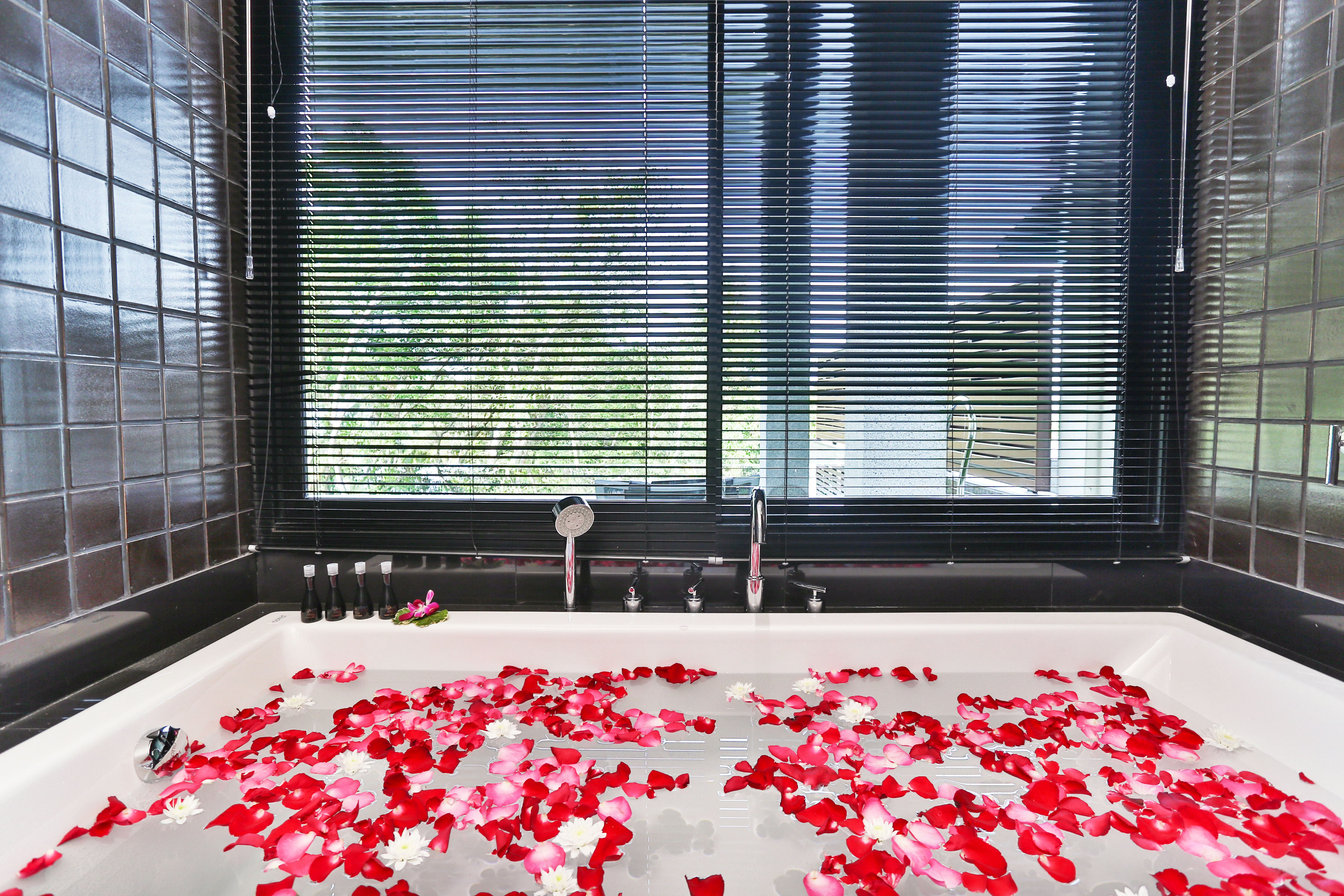 Suite Two Bedrooms with Private Pool