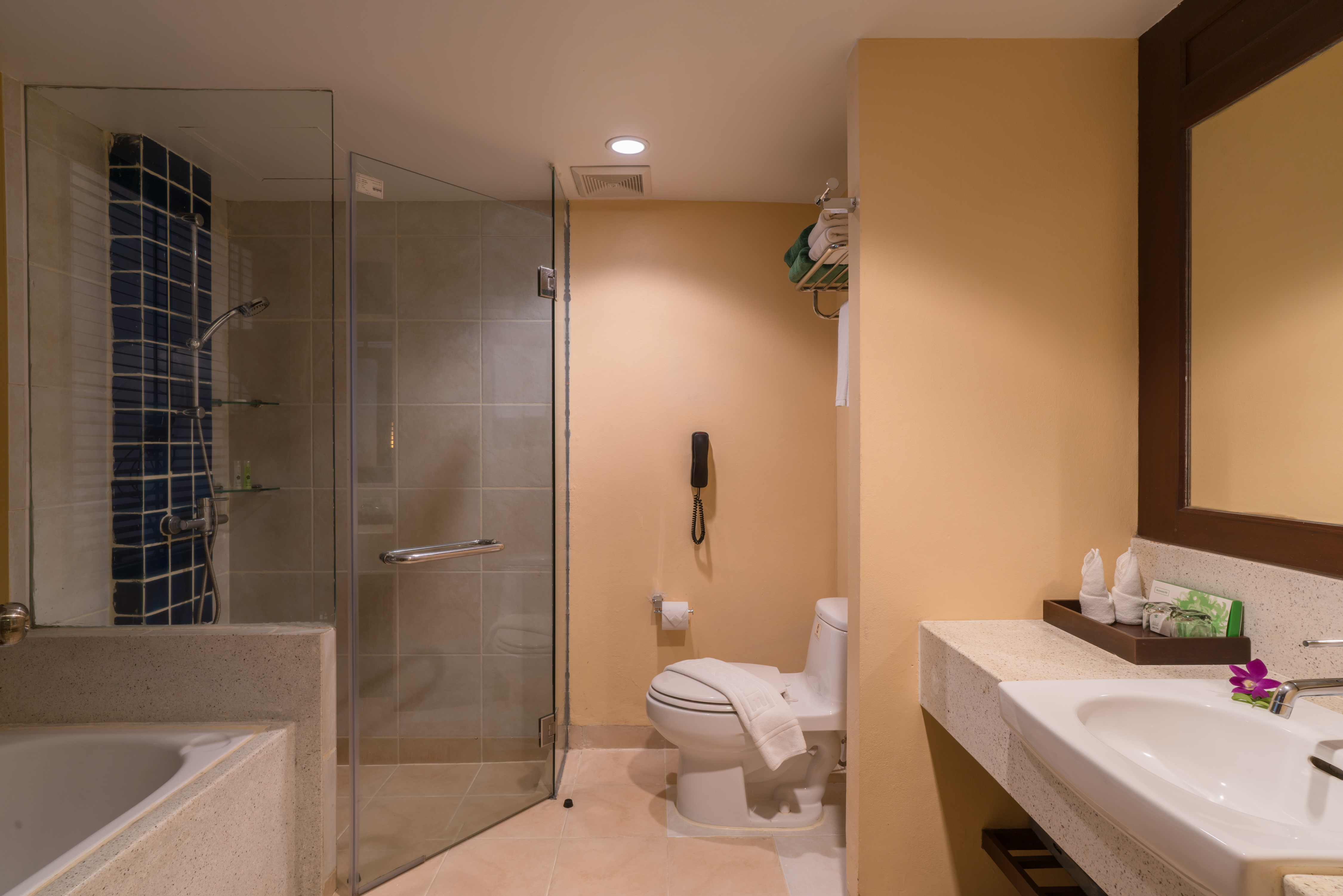 Double or Twin Deluxe with Balcony