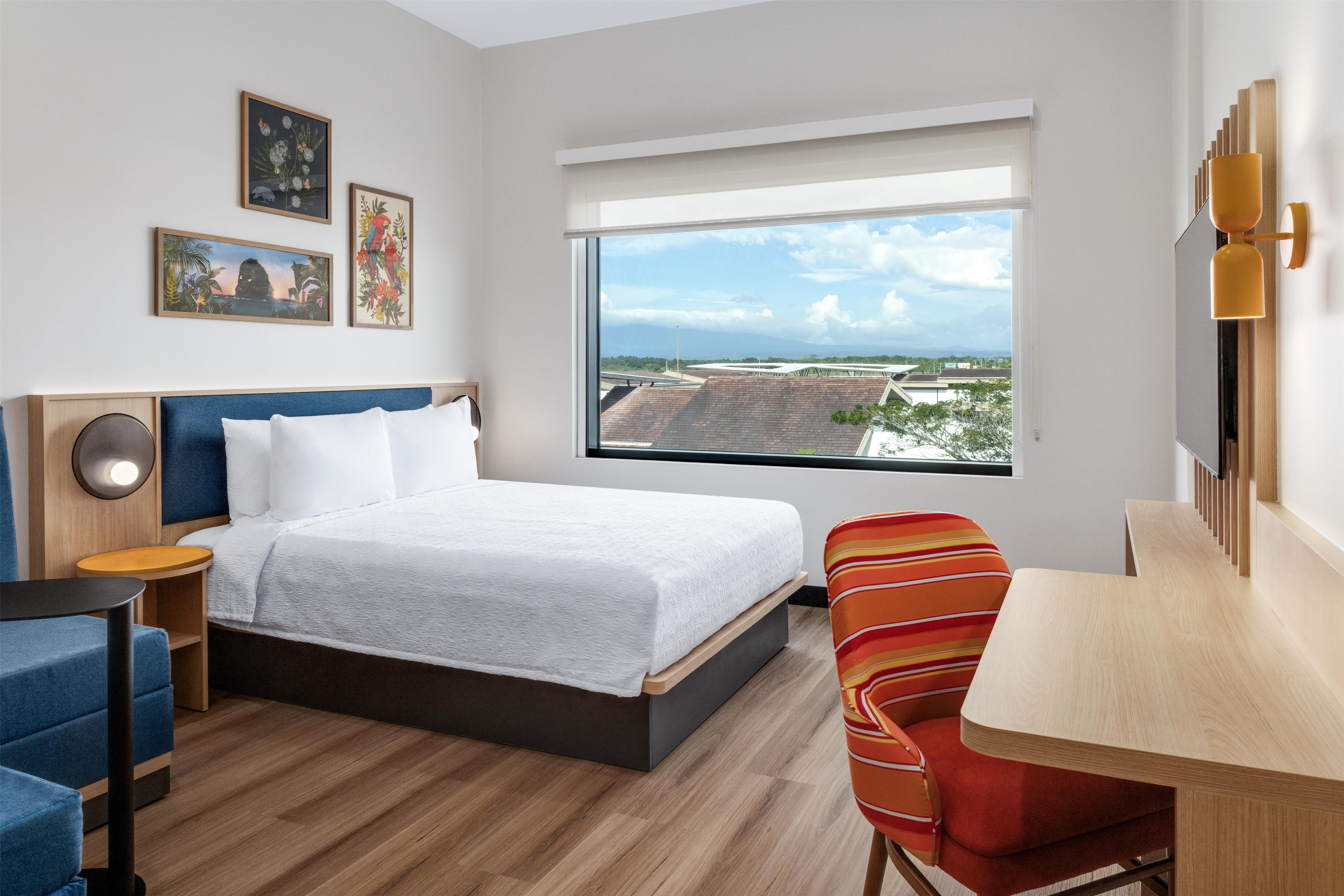 Room King Size Bed