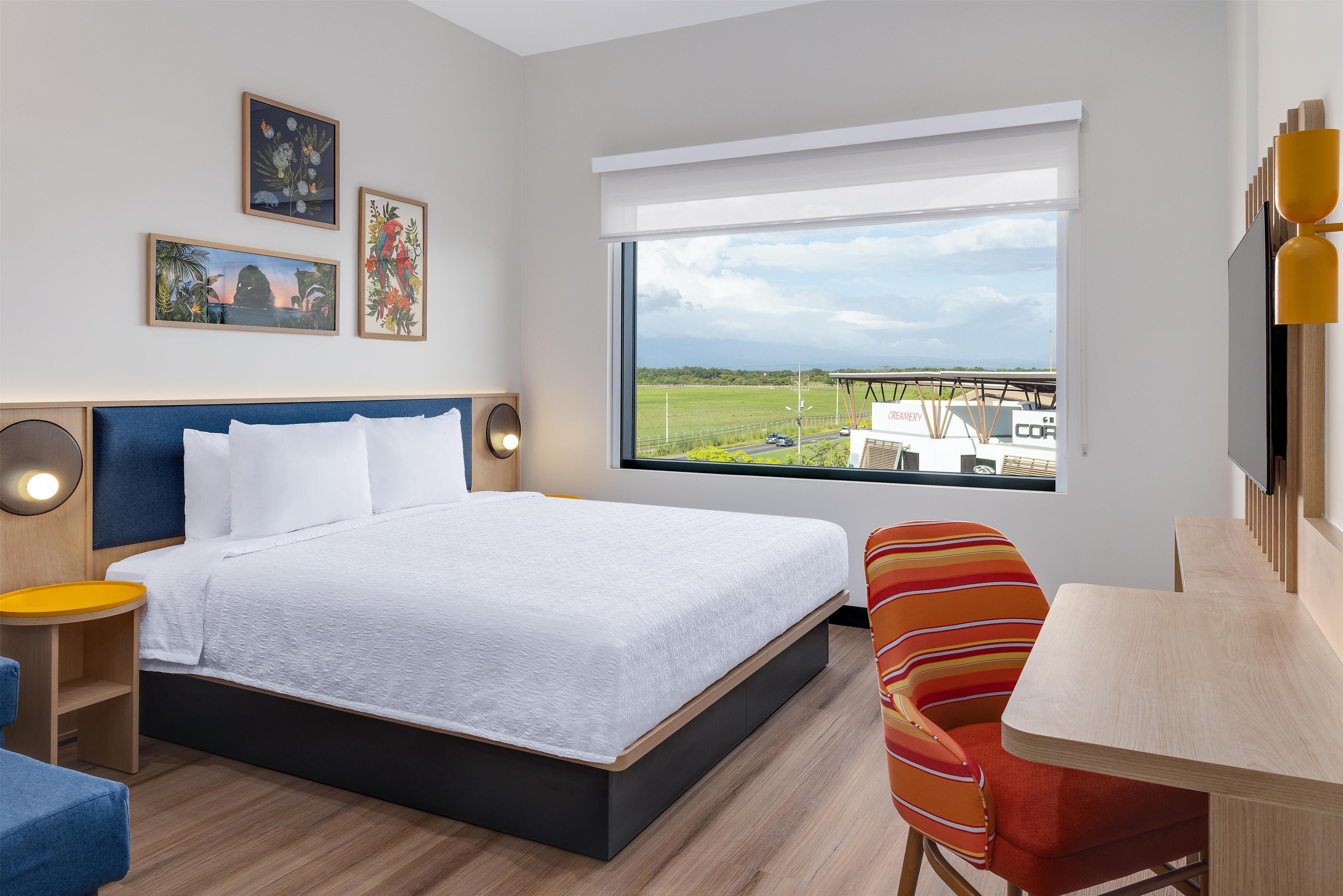 Room King Size Bed