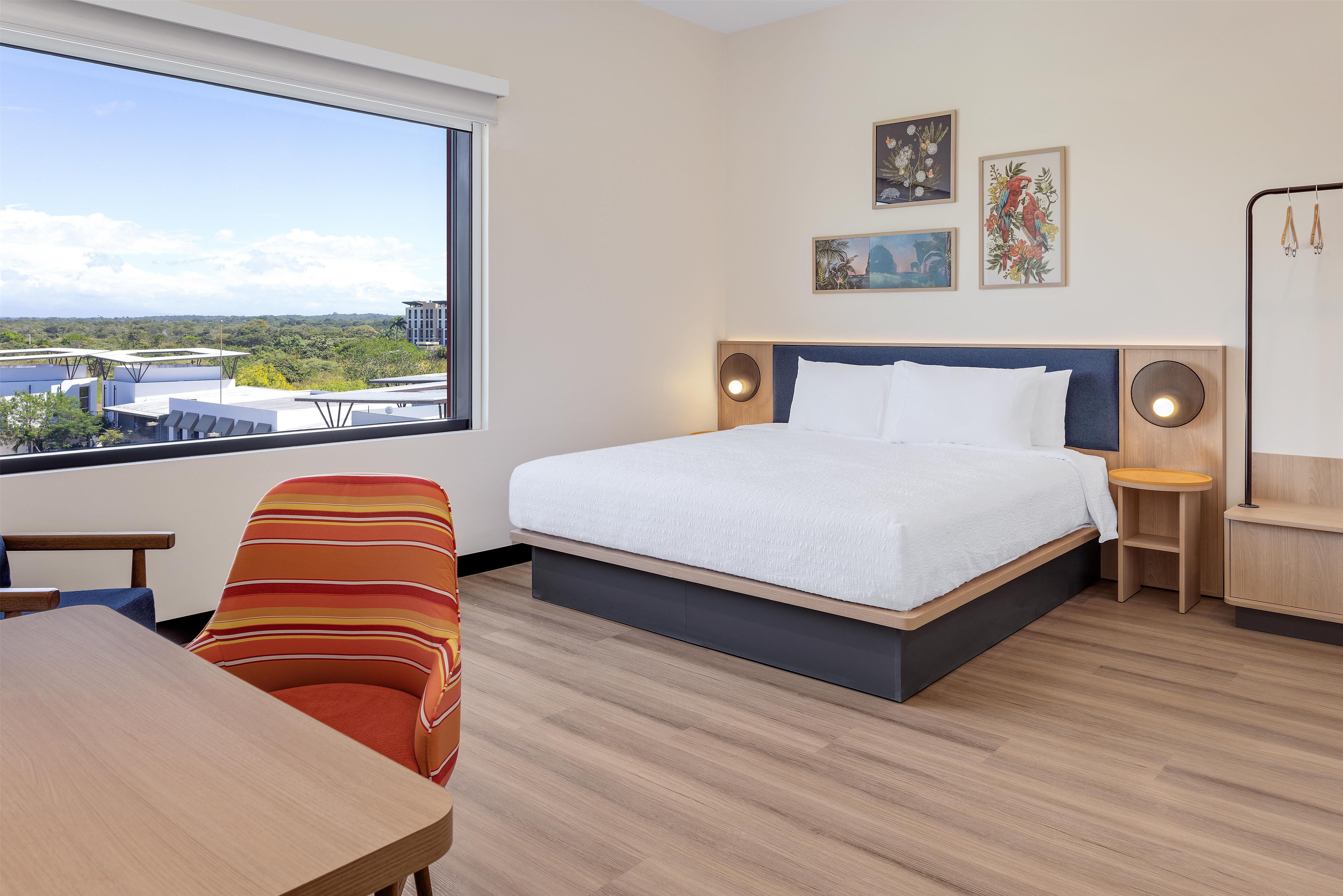 Room Accessible King Size Bed