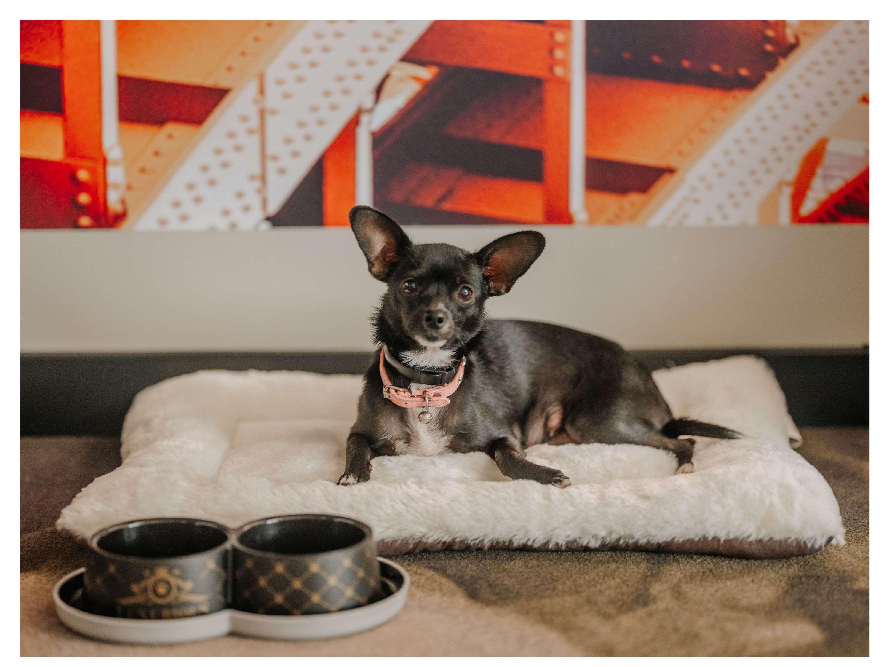 Family Room Connecting Room