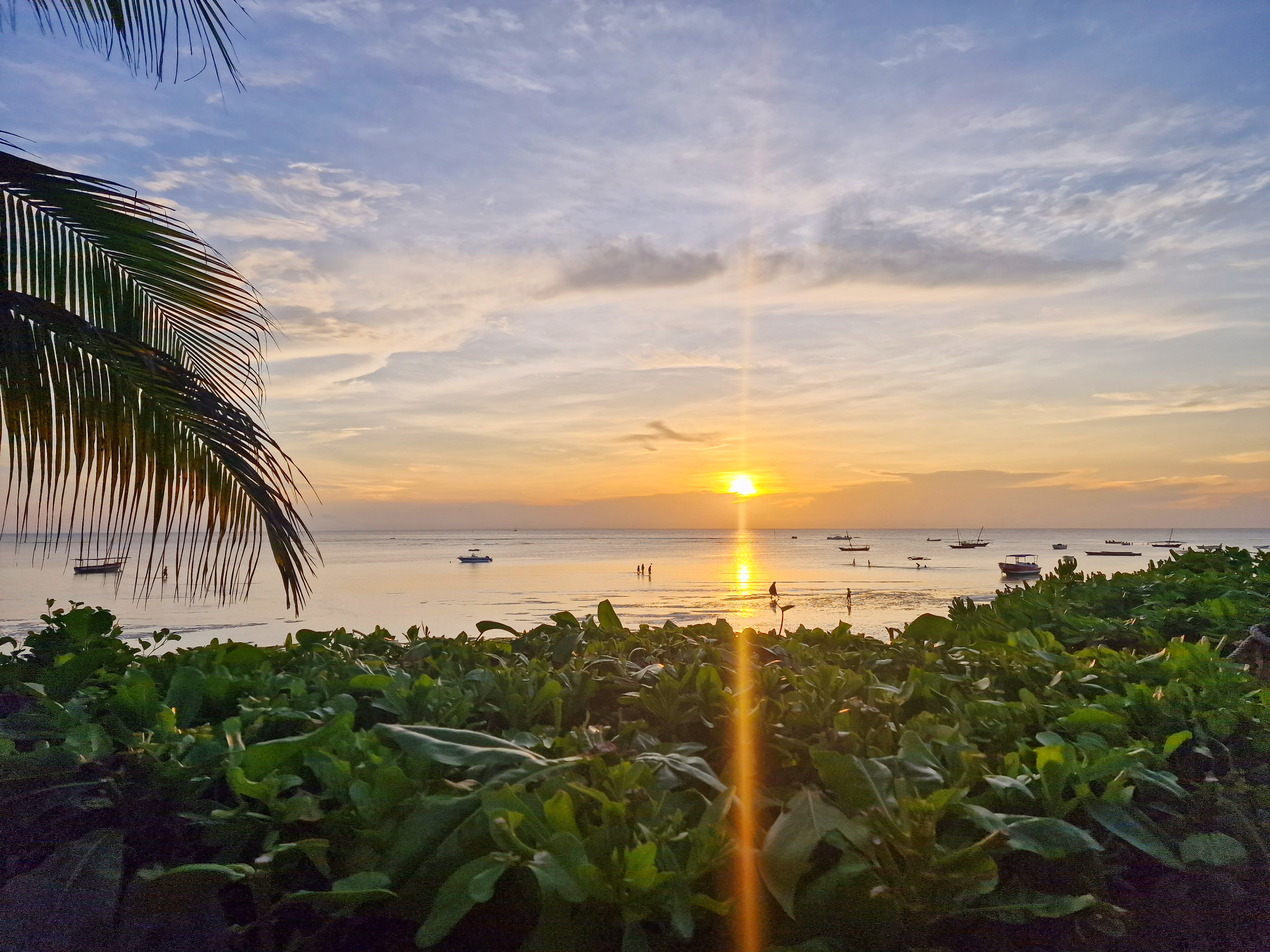 Quadruple Beach Front