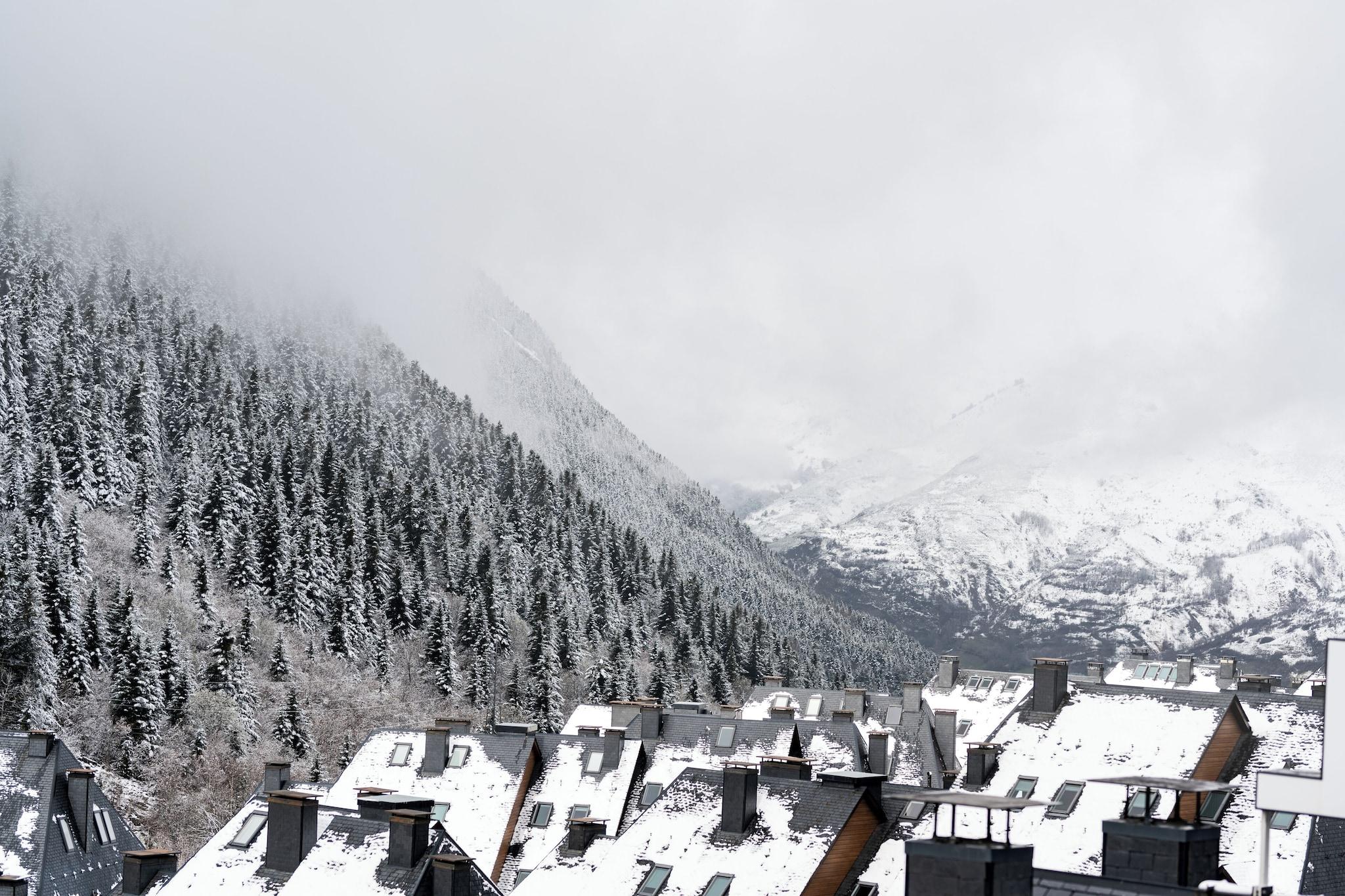 Suite Queen Size Bed