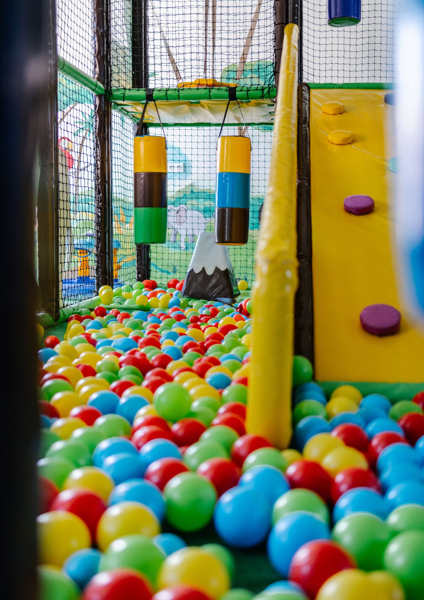 Sports and Entertainment