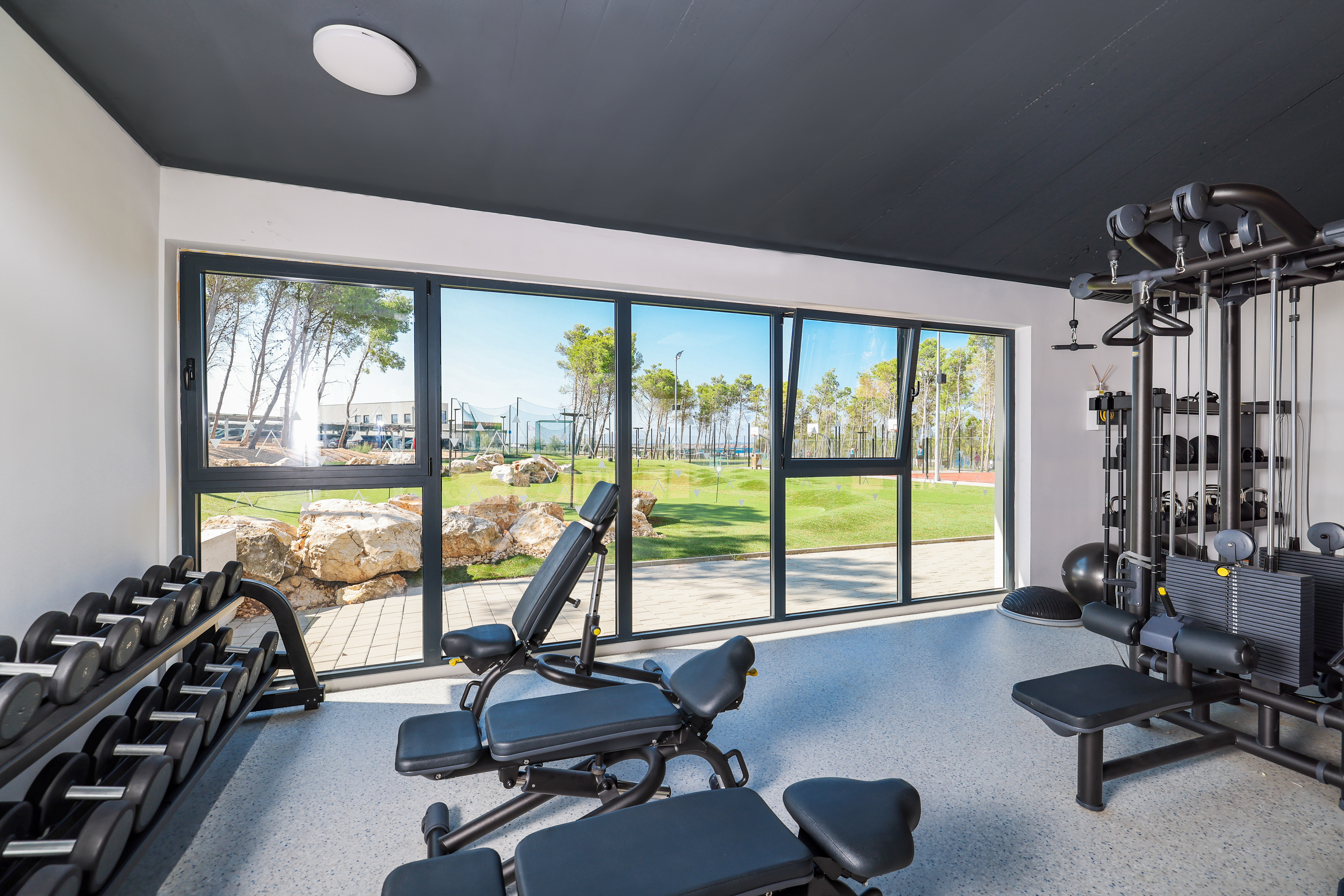 Sports and Entertainment