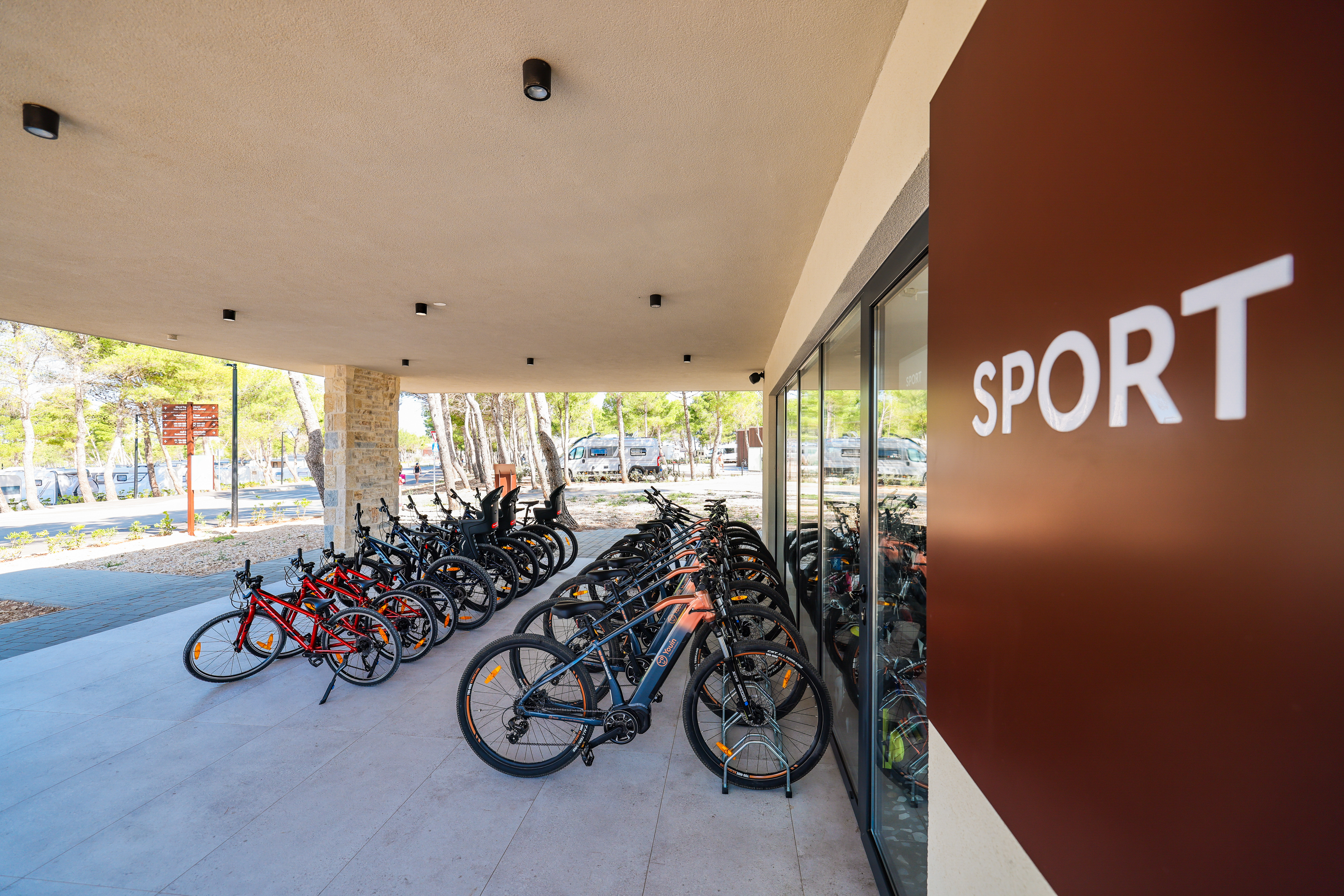 Sports and Entertainment