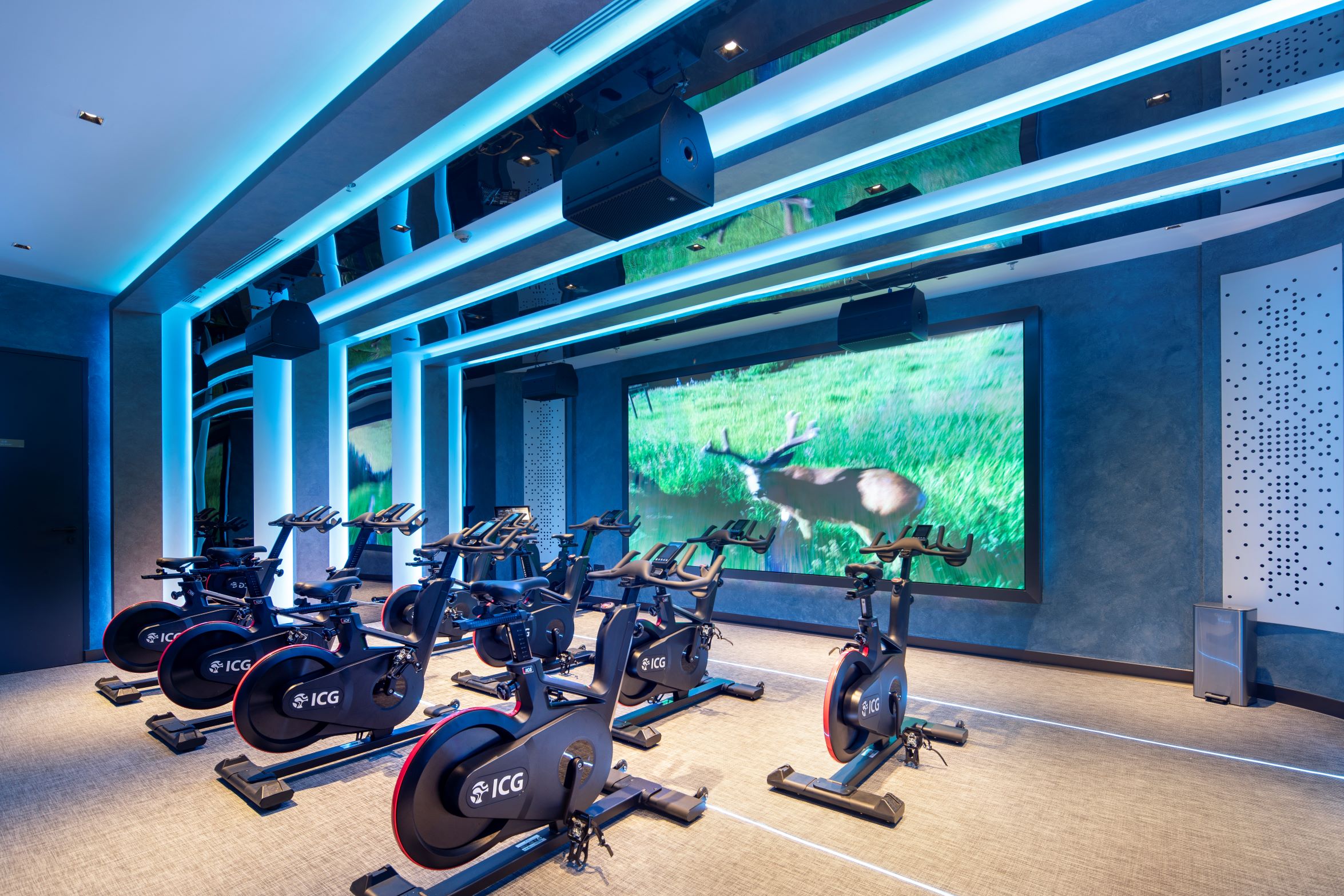 Sports and Entertainment