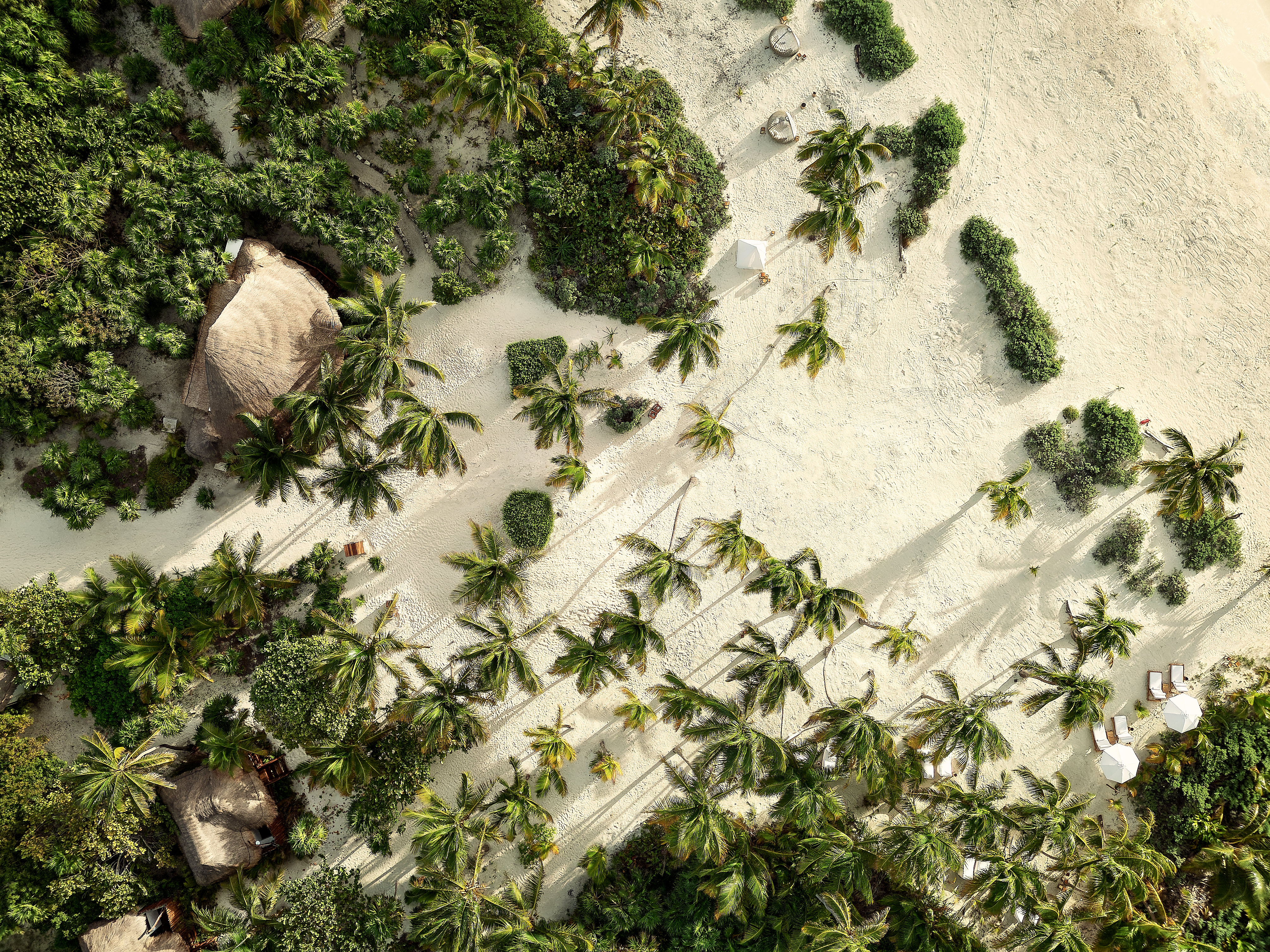 Bungalow Beach Front