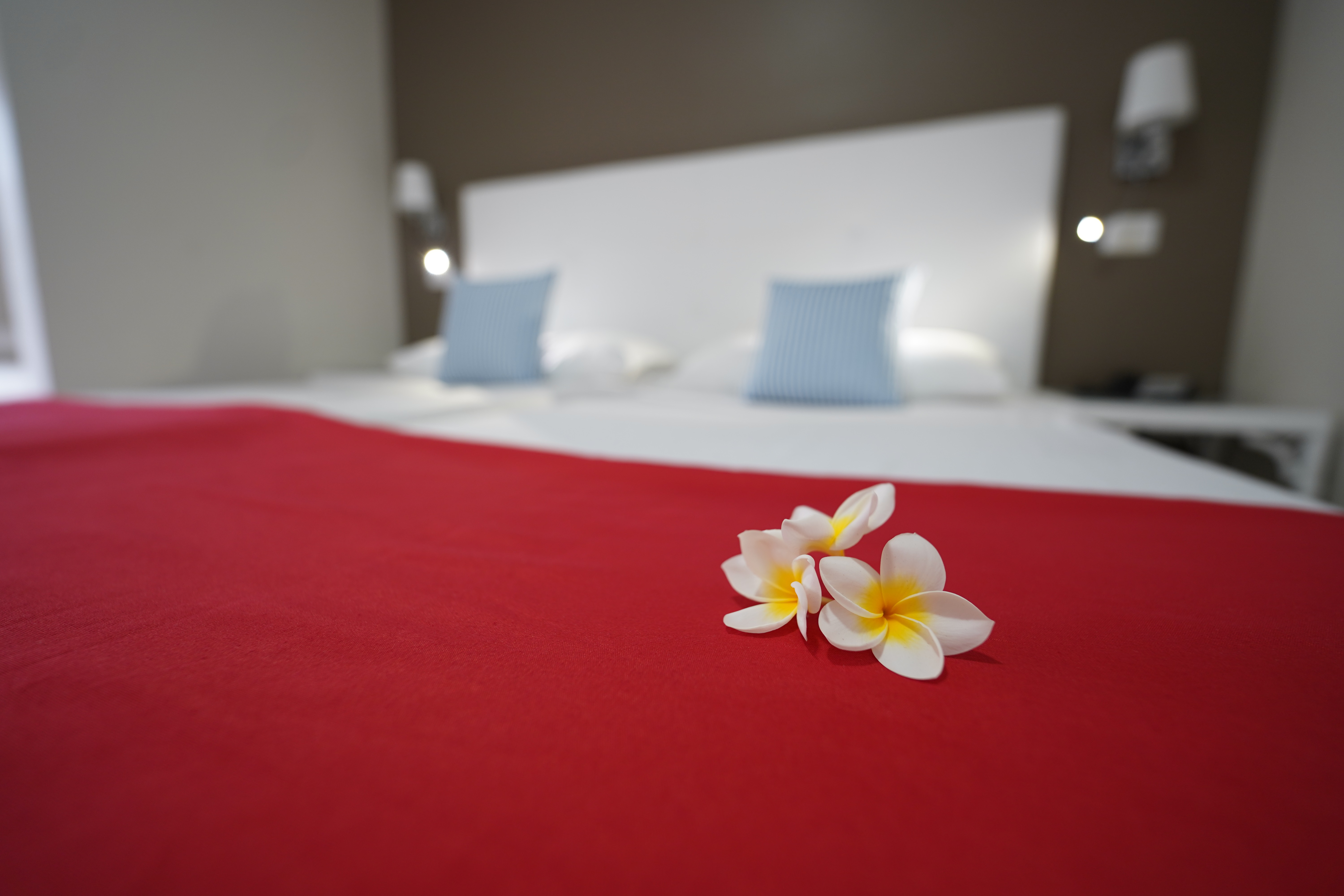 Double or Twin Garden View