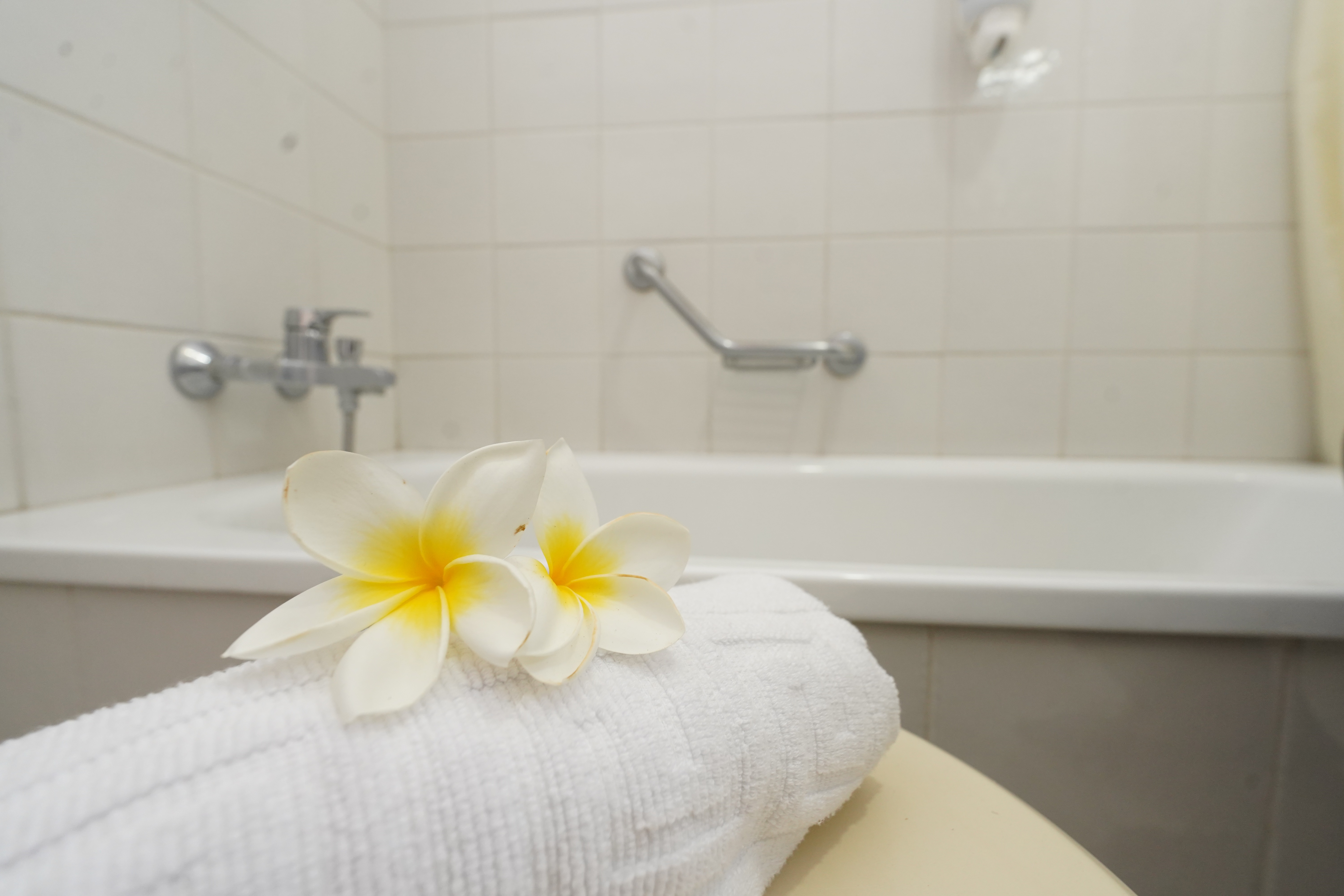 Double Single Garden View