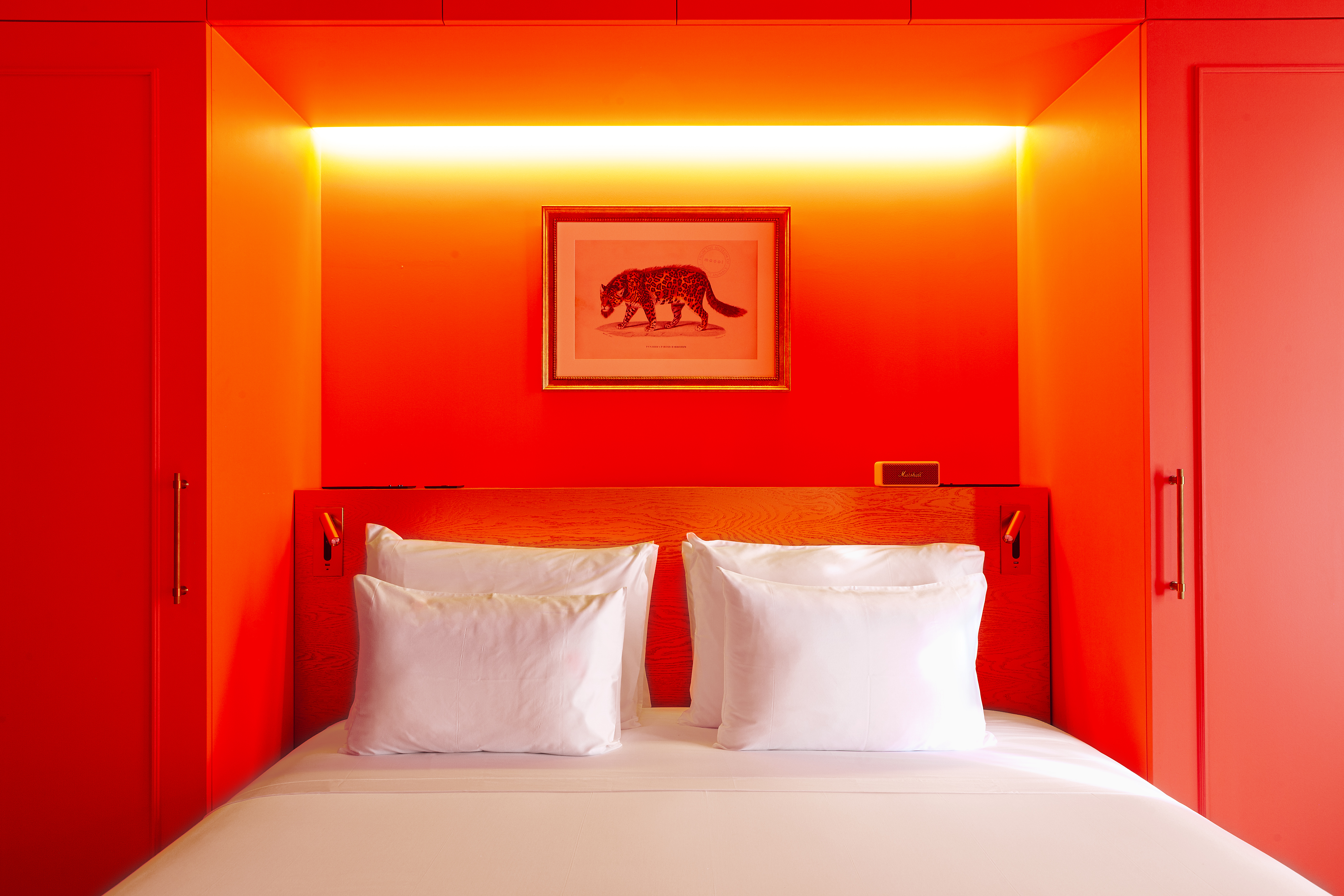 Double or Twin Capacity 2