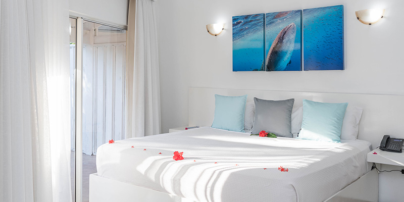 Double with Double Bed