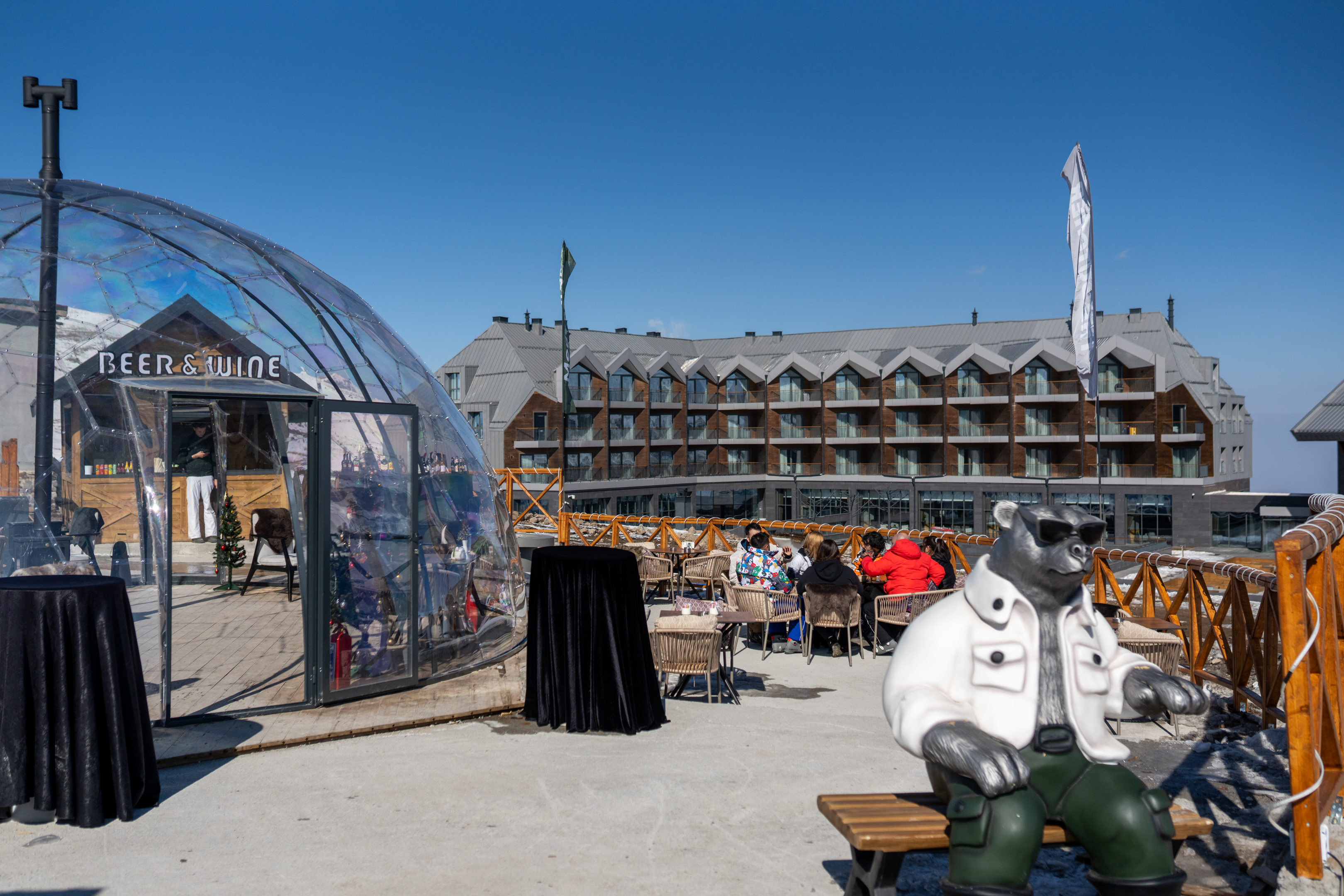 Sports and Entertainment