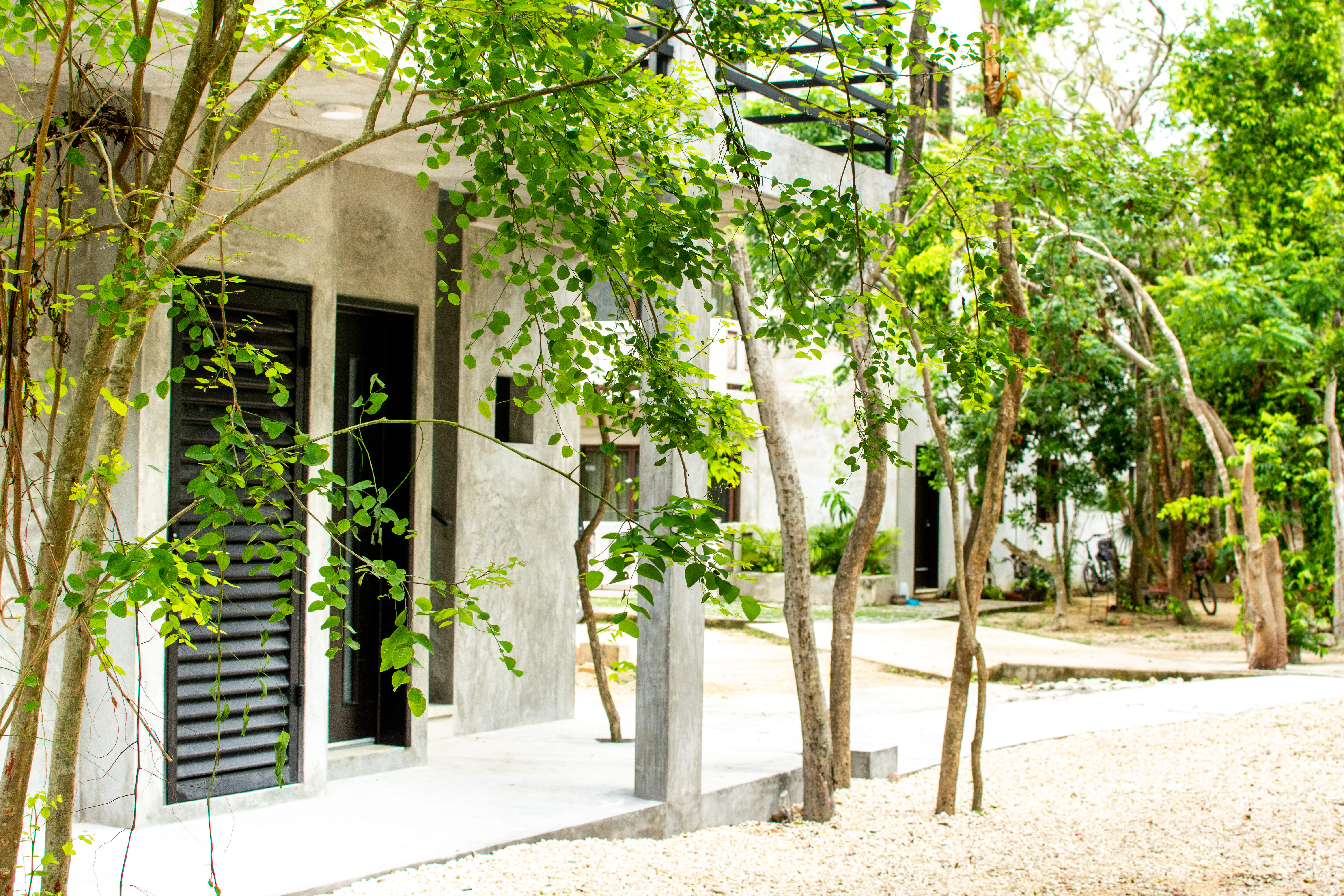 Double Superior Pool View