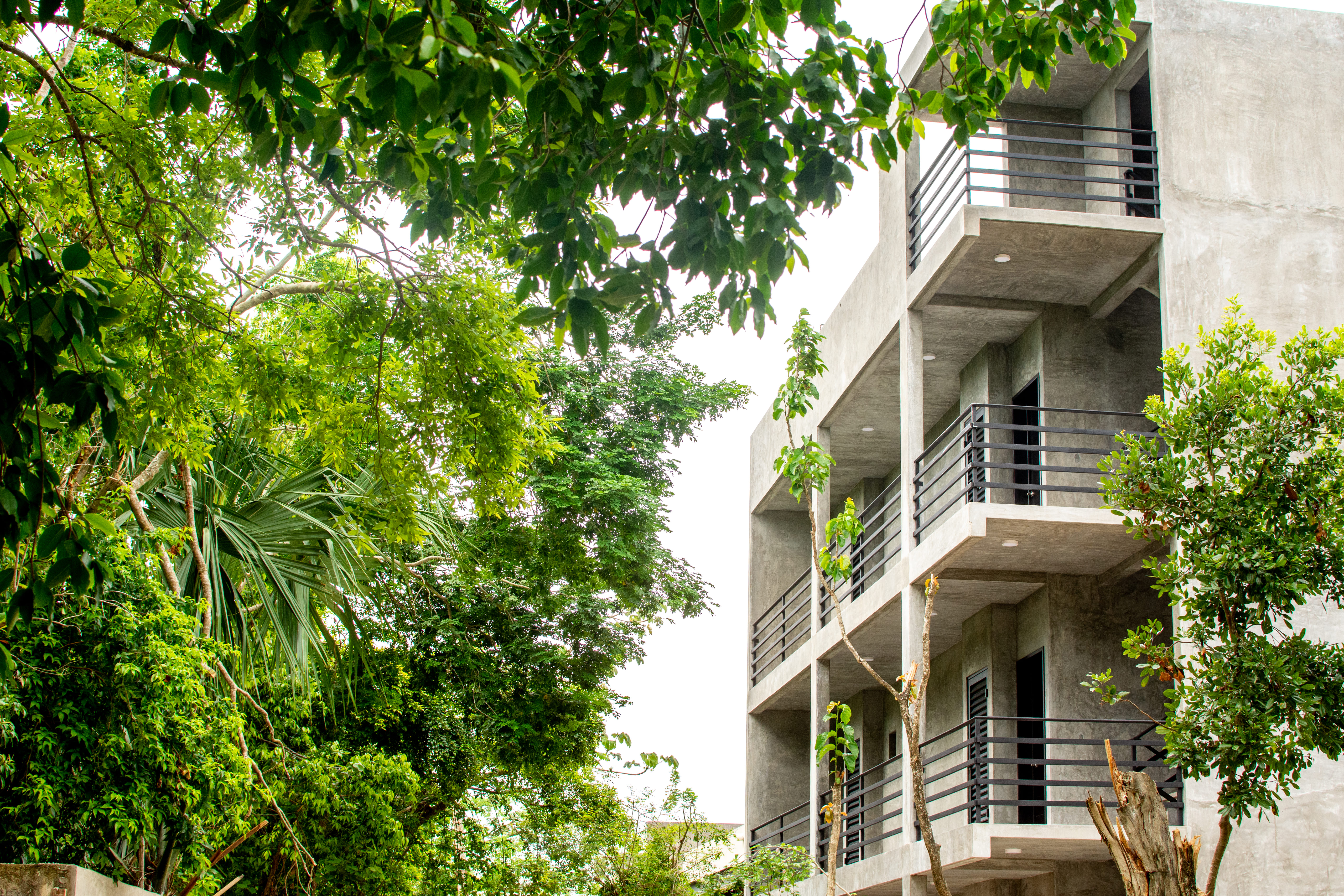 Quadruple Superior Pool View