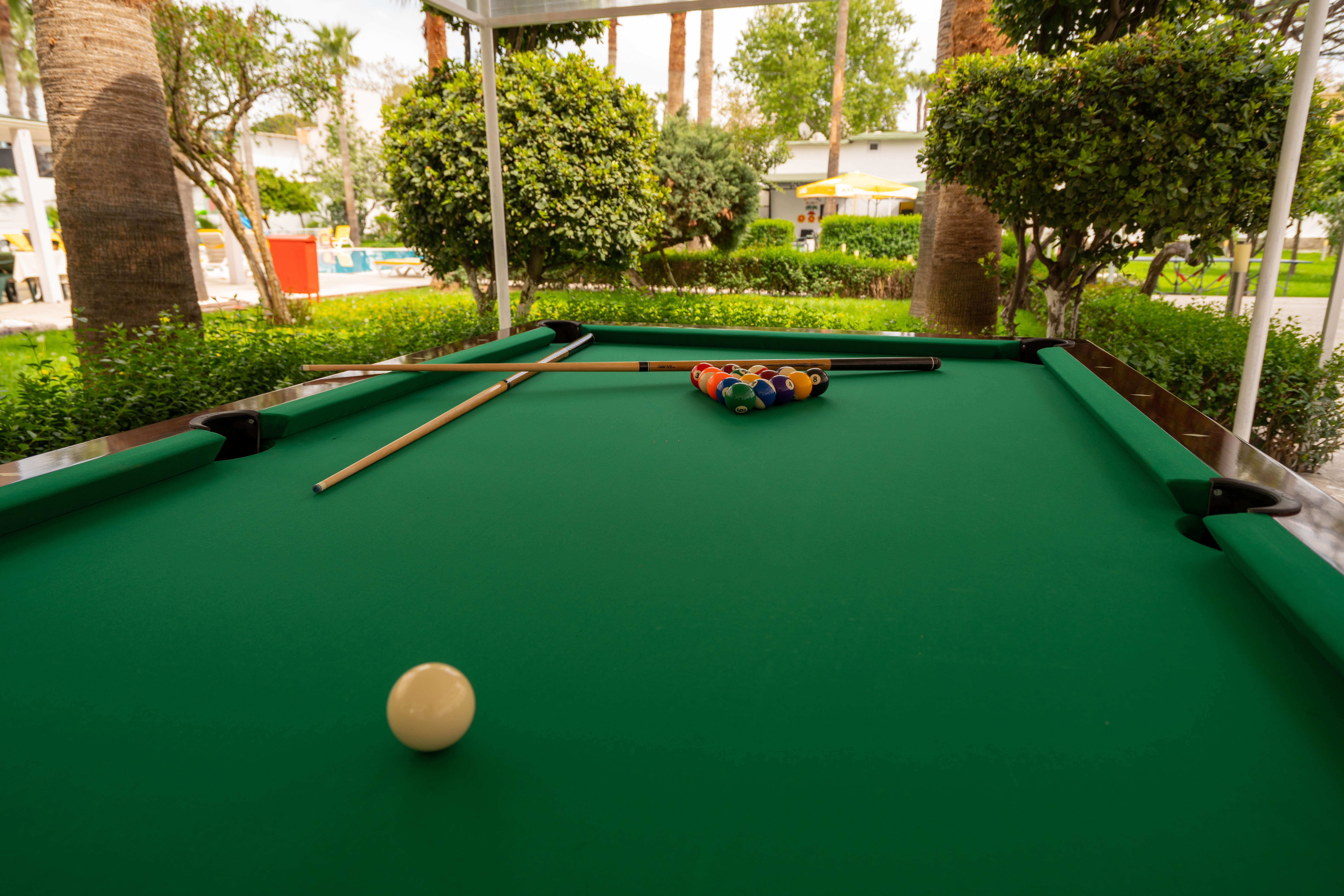 Sports and Entertainment