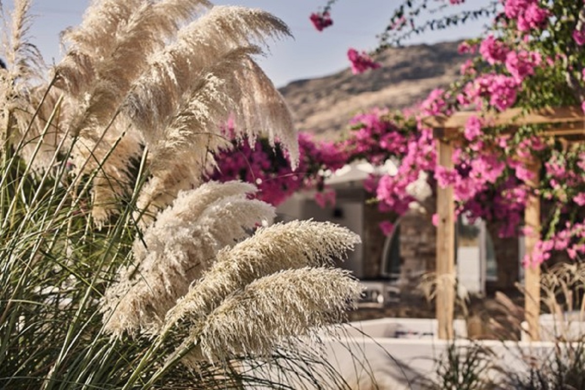 Family Room Garden View