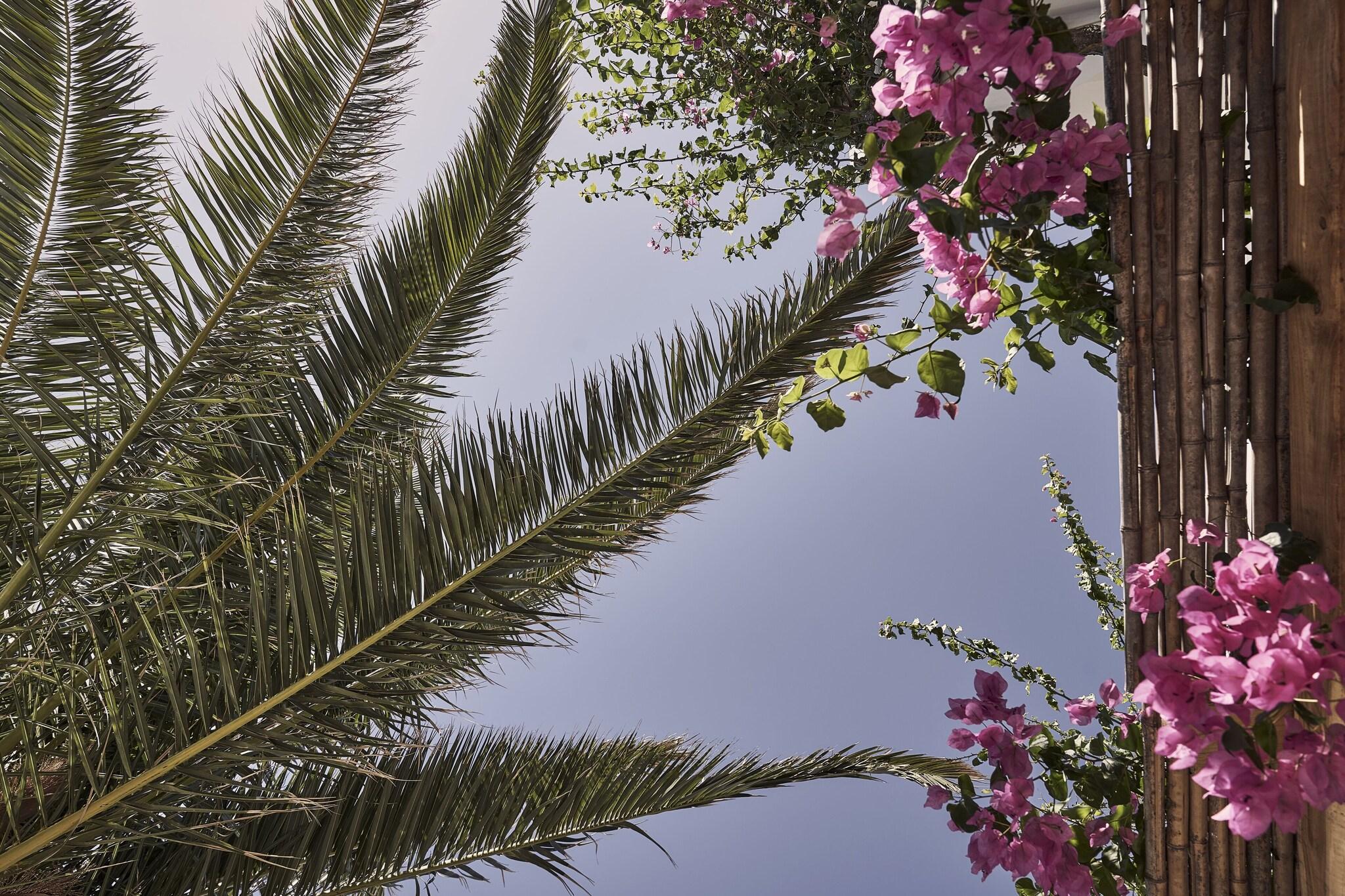 Studio with Private Pool