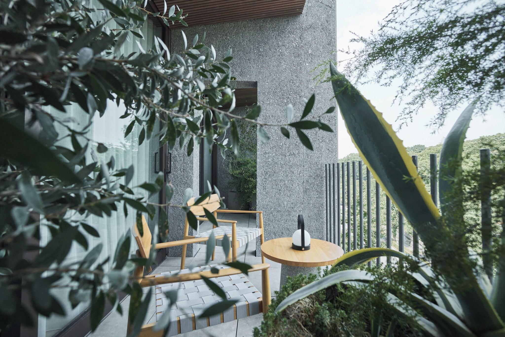 Suite Park View with Balcony