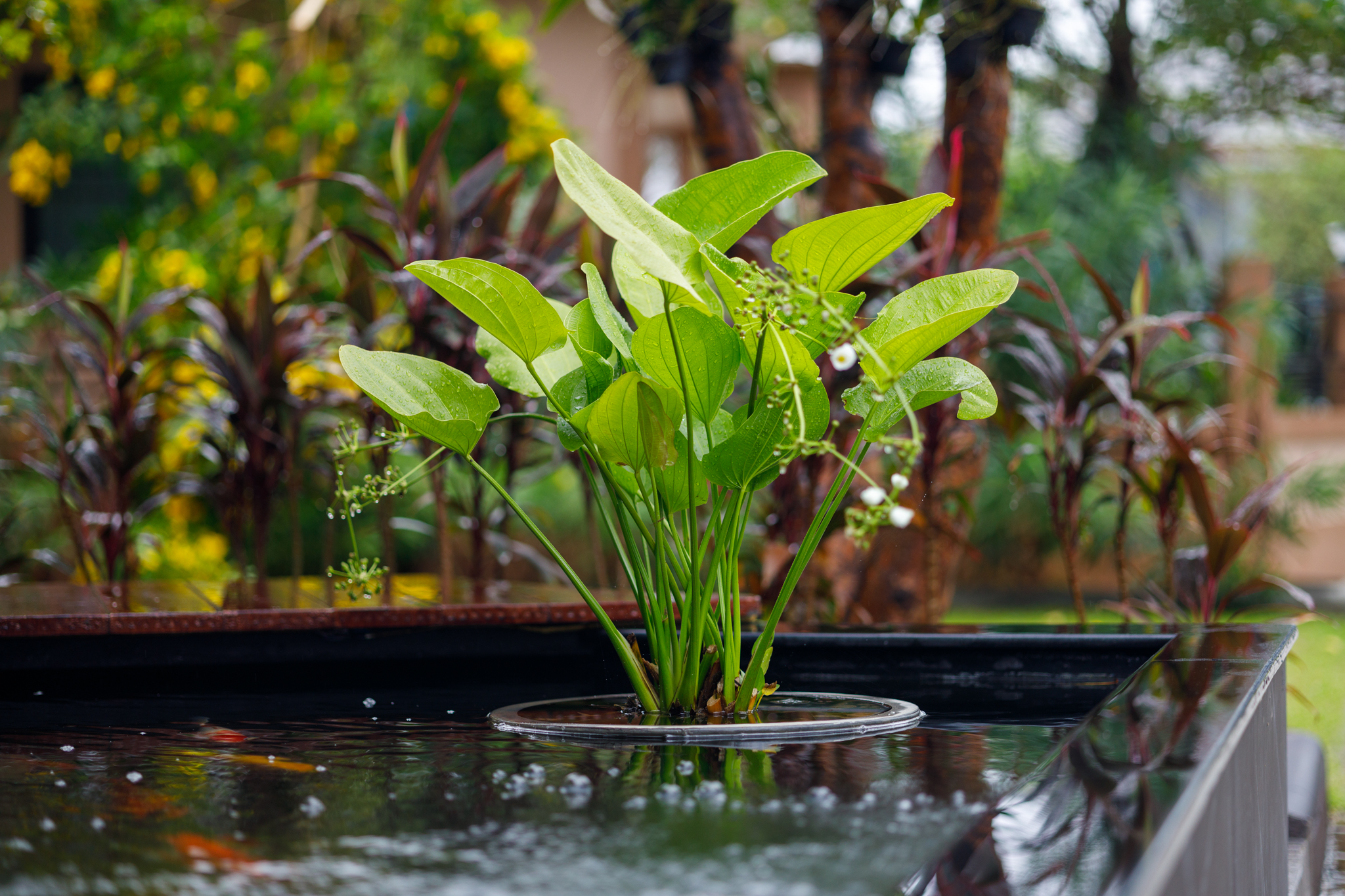 Villa Two Bedrooms Two Bathrooms