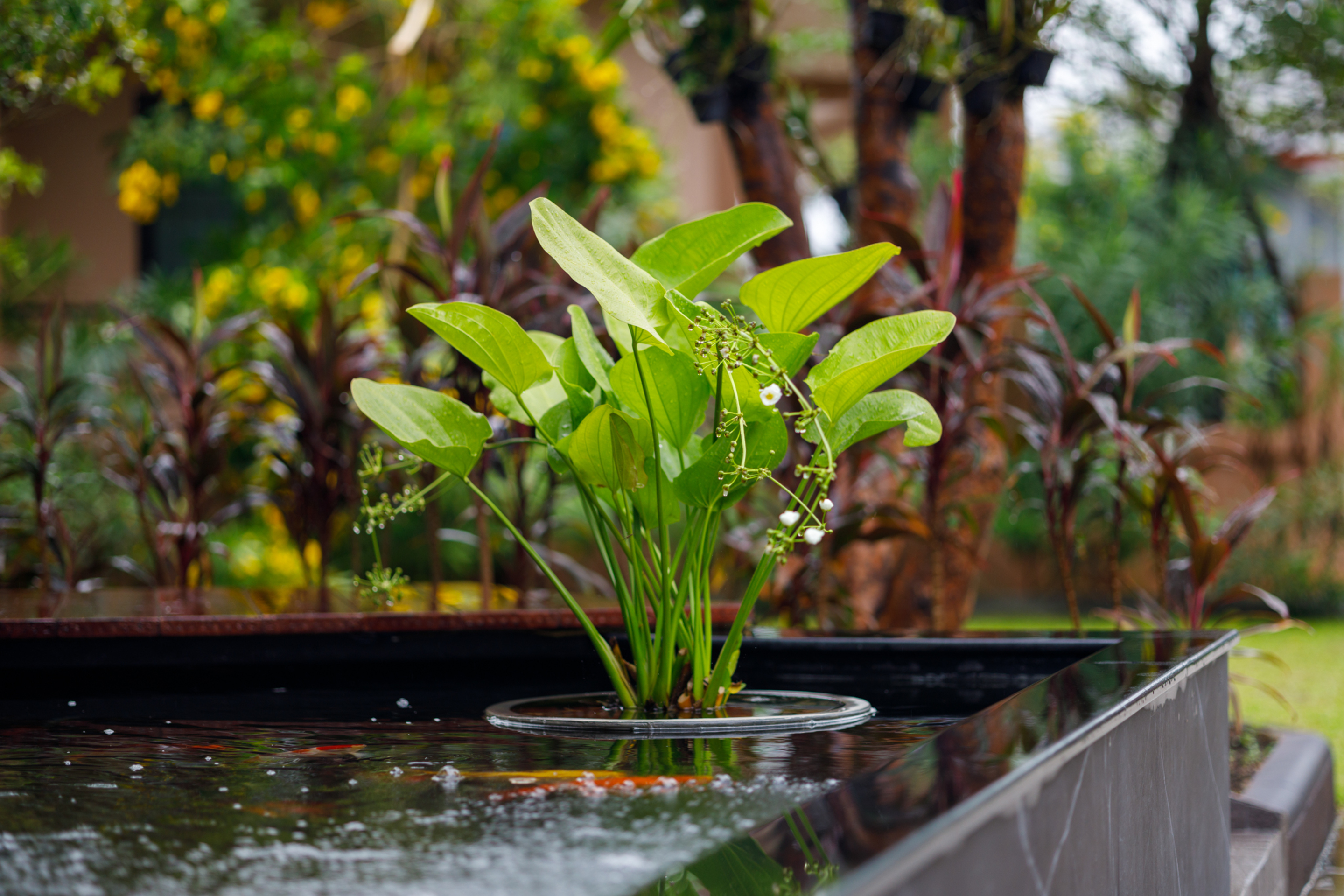 Villa Two Bedrooms Two Bathrooms