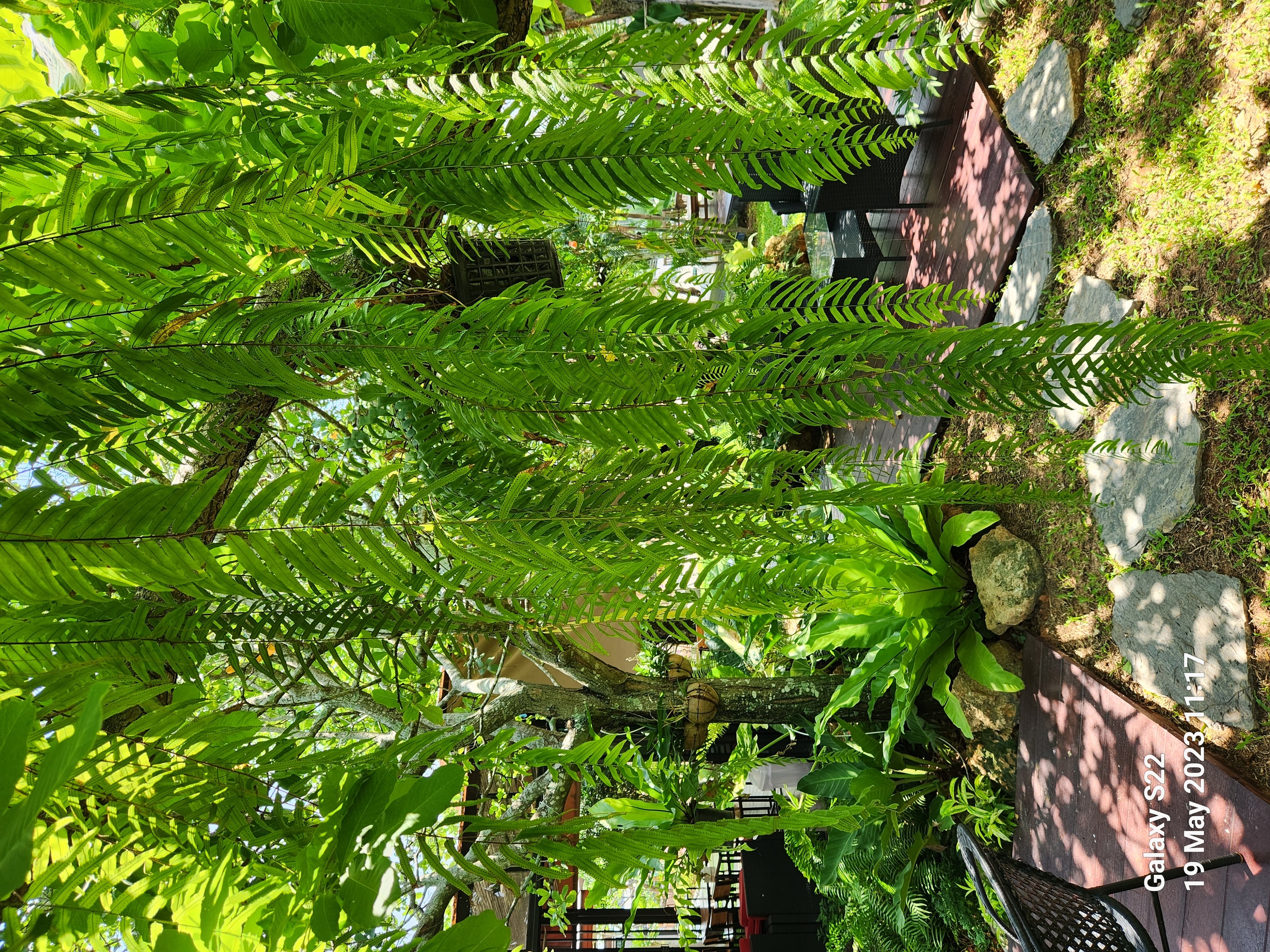 Villa Deluxe One Bedroom