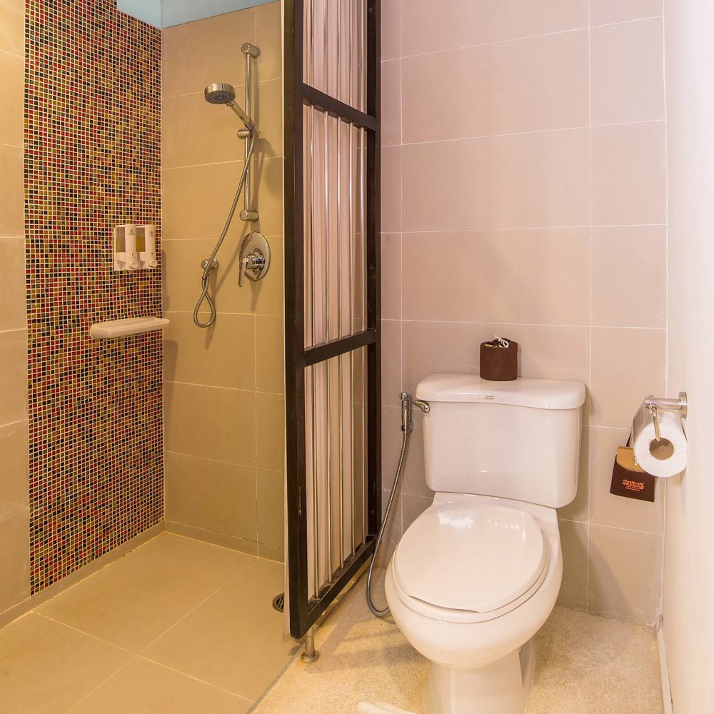 Double or Twin Superior