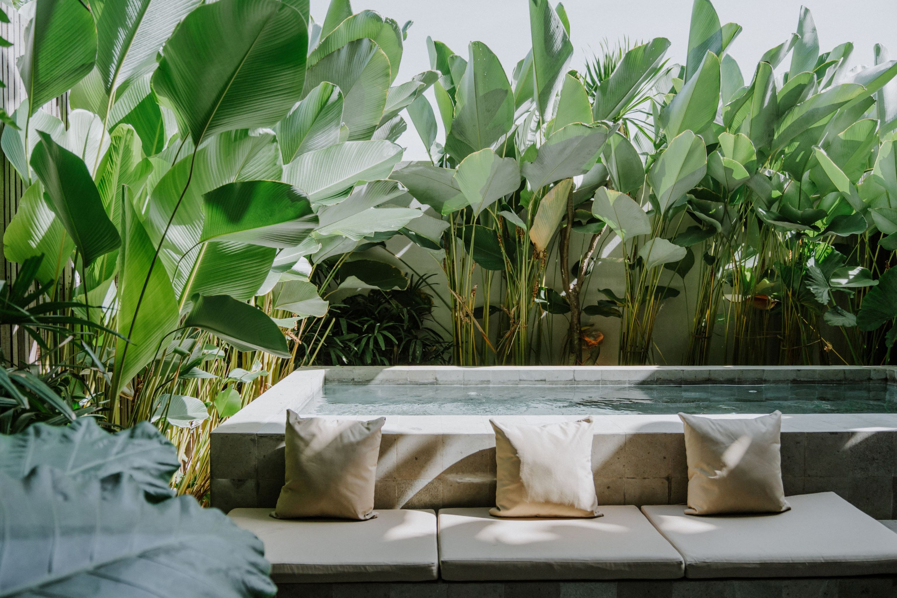 Twin Deluxe Pool View