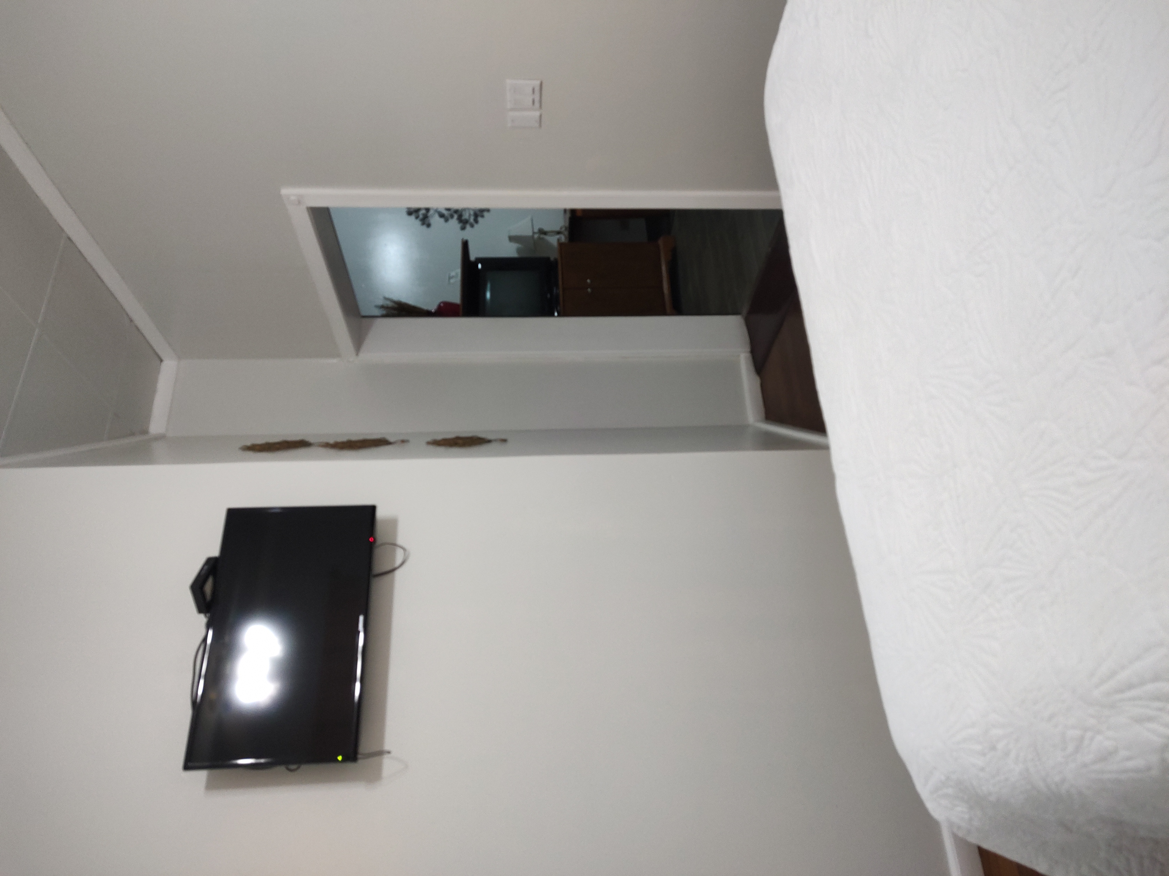 Double Queen Size Bed