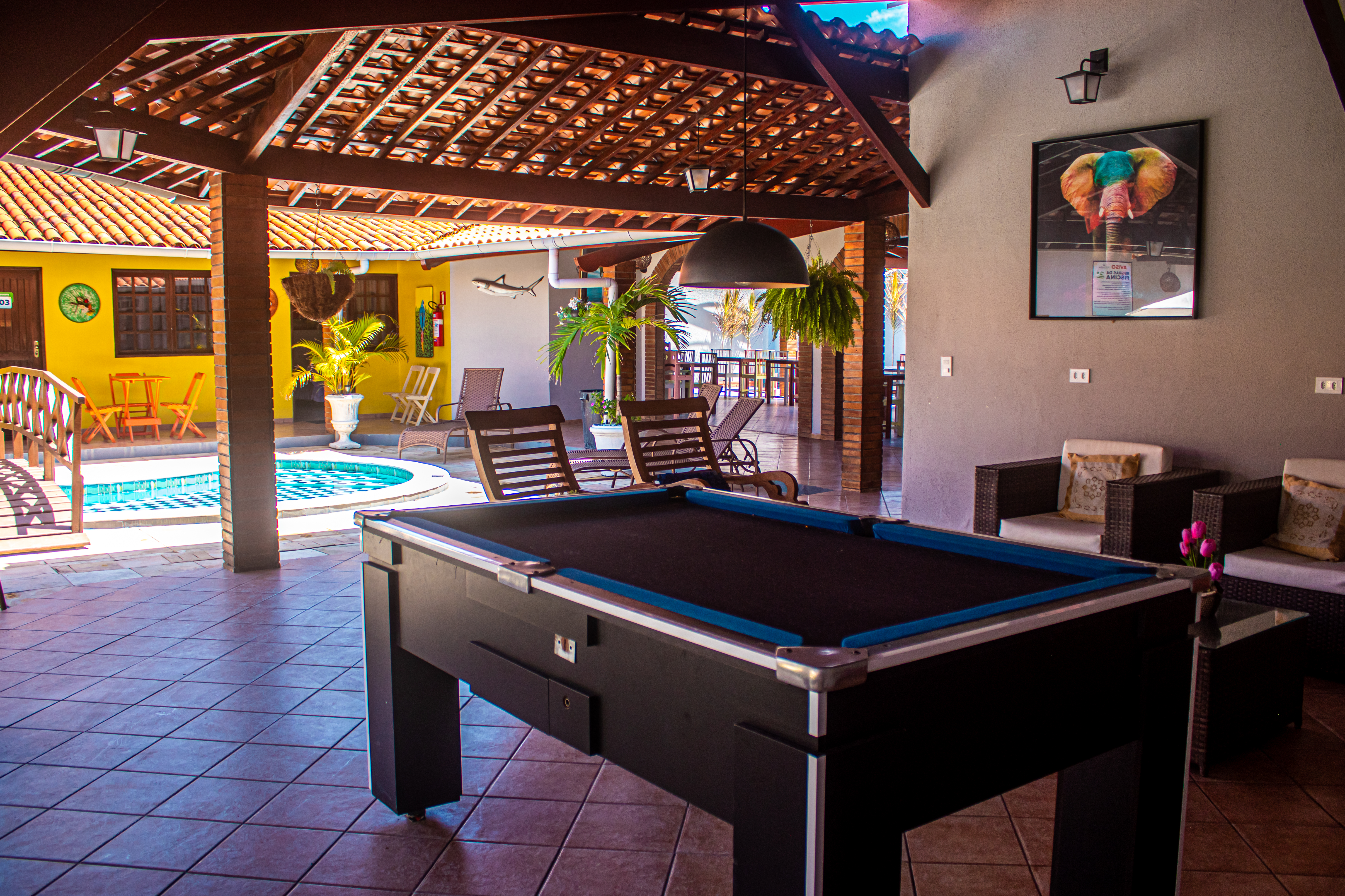 Sports and Entertainment