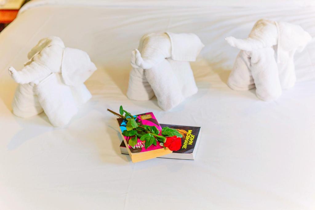 Family Room Deluxe Two Beds