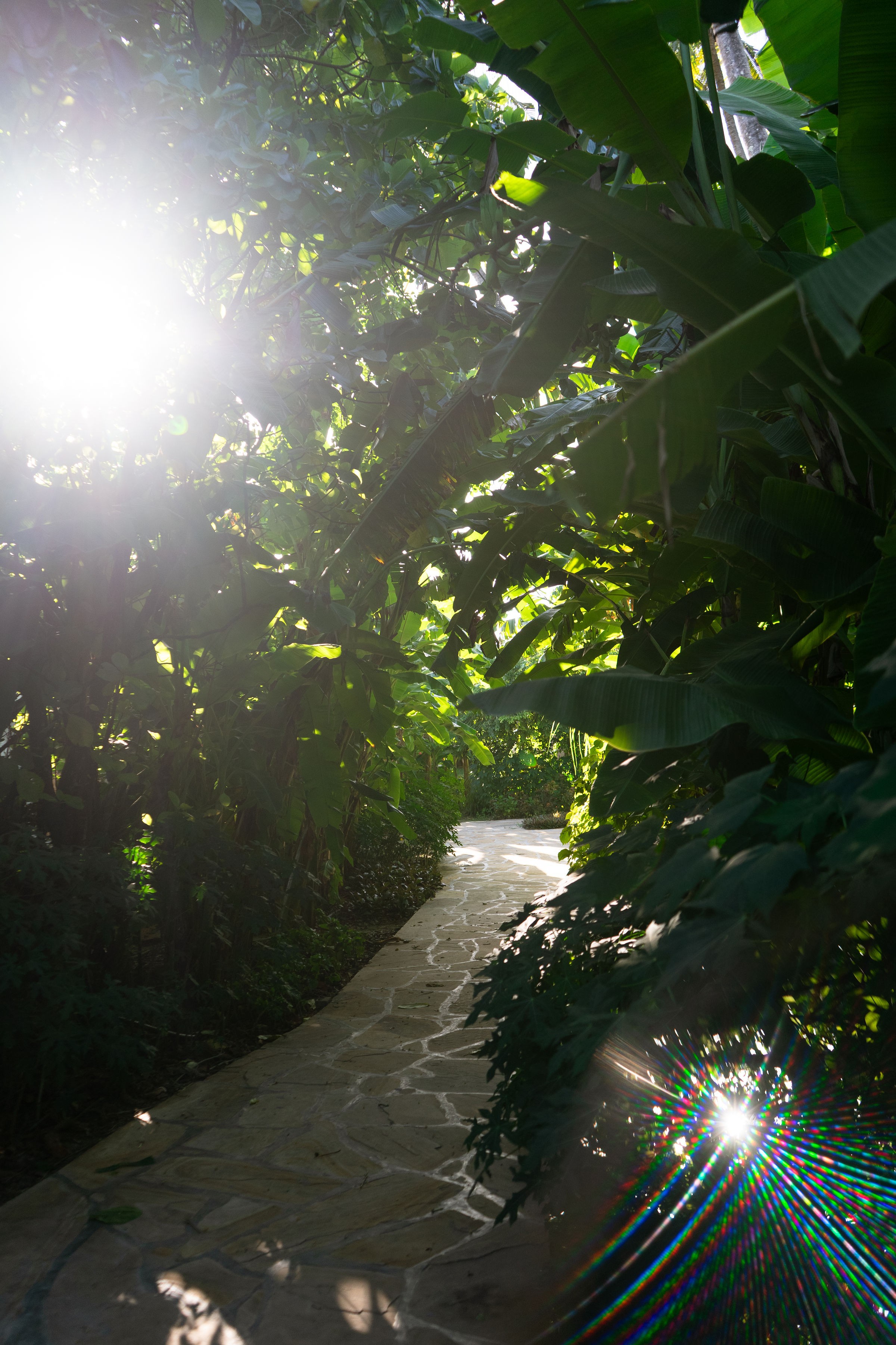 Villa Three Bedrooms with Private Pool