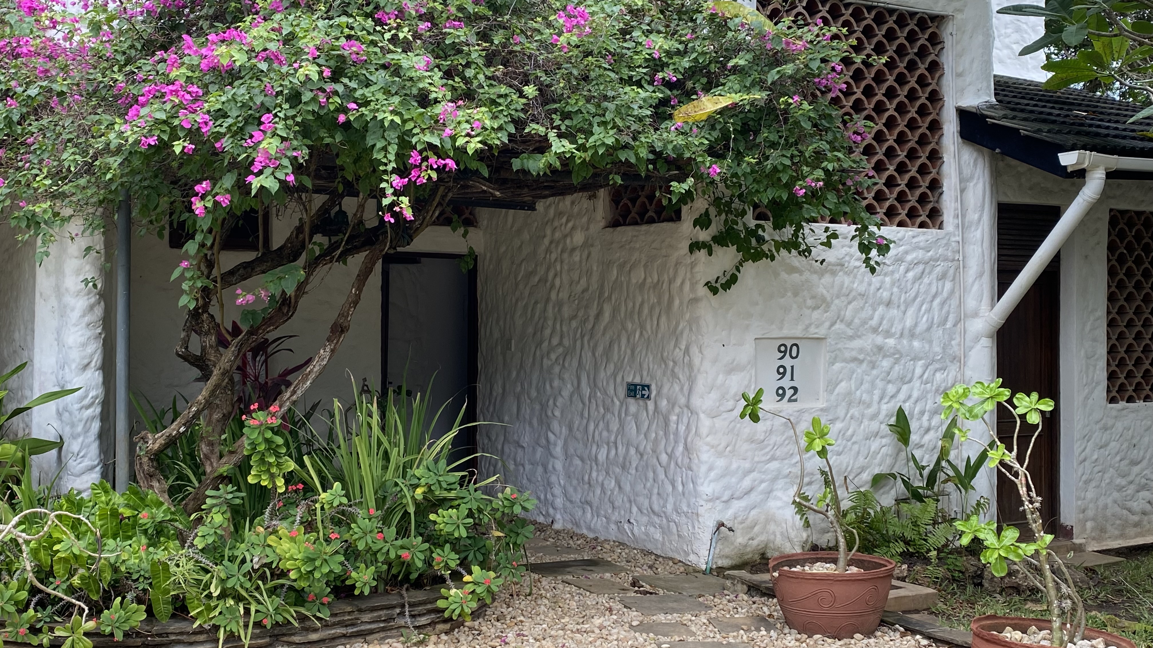 Single Deluxe Garden View