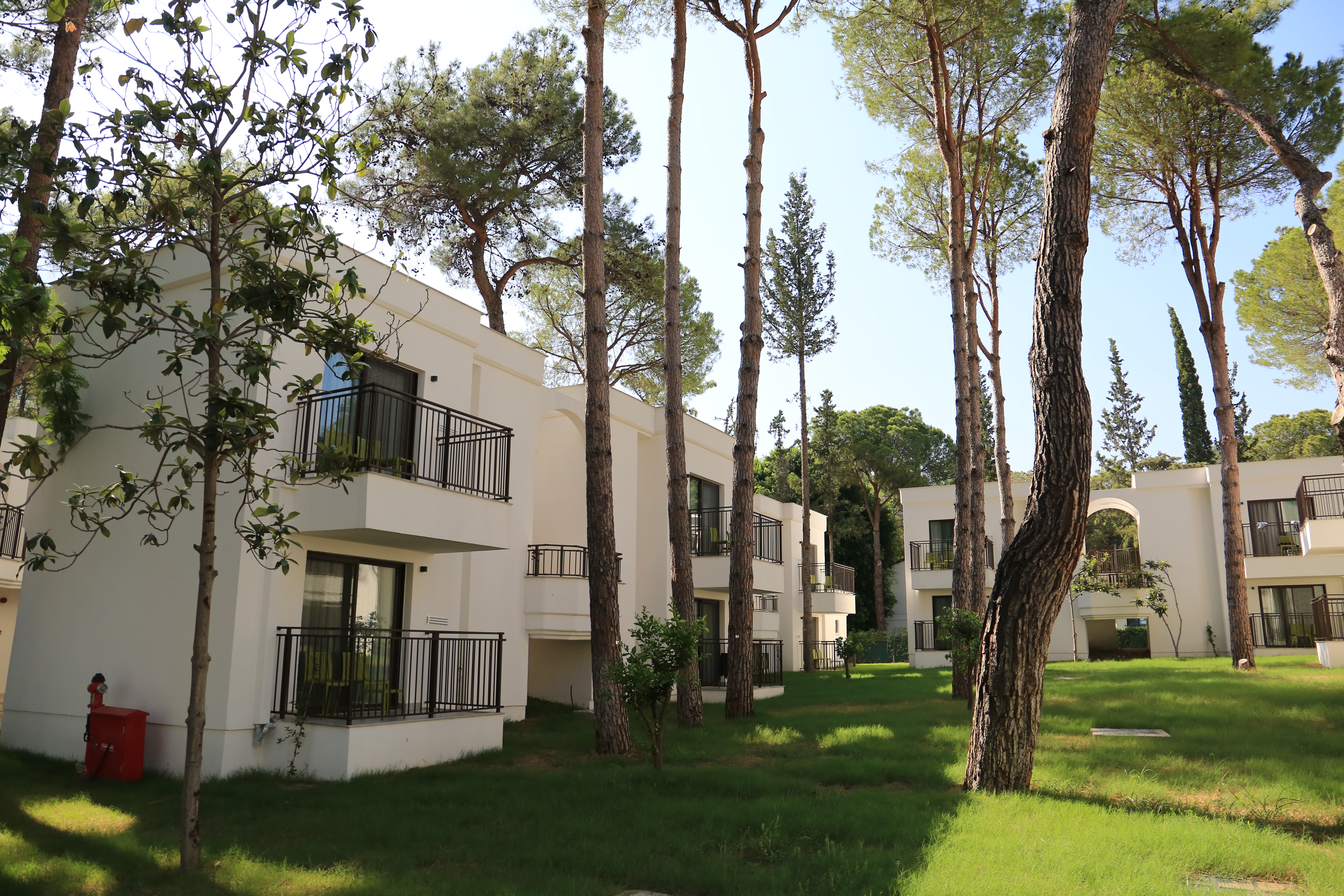 Double Land View