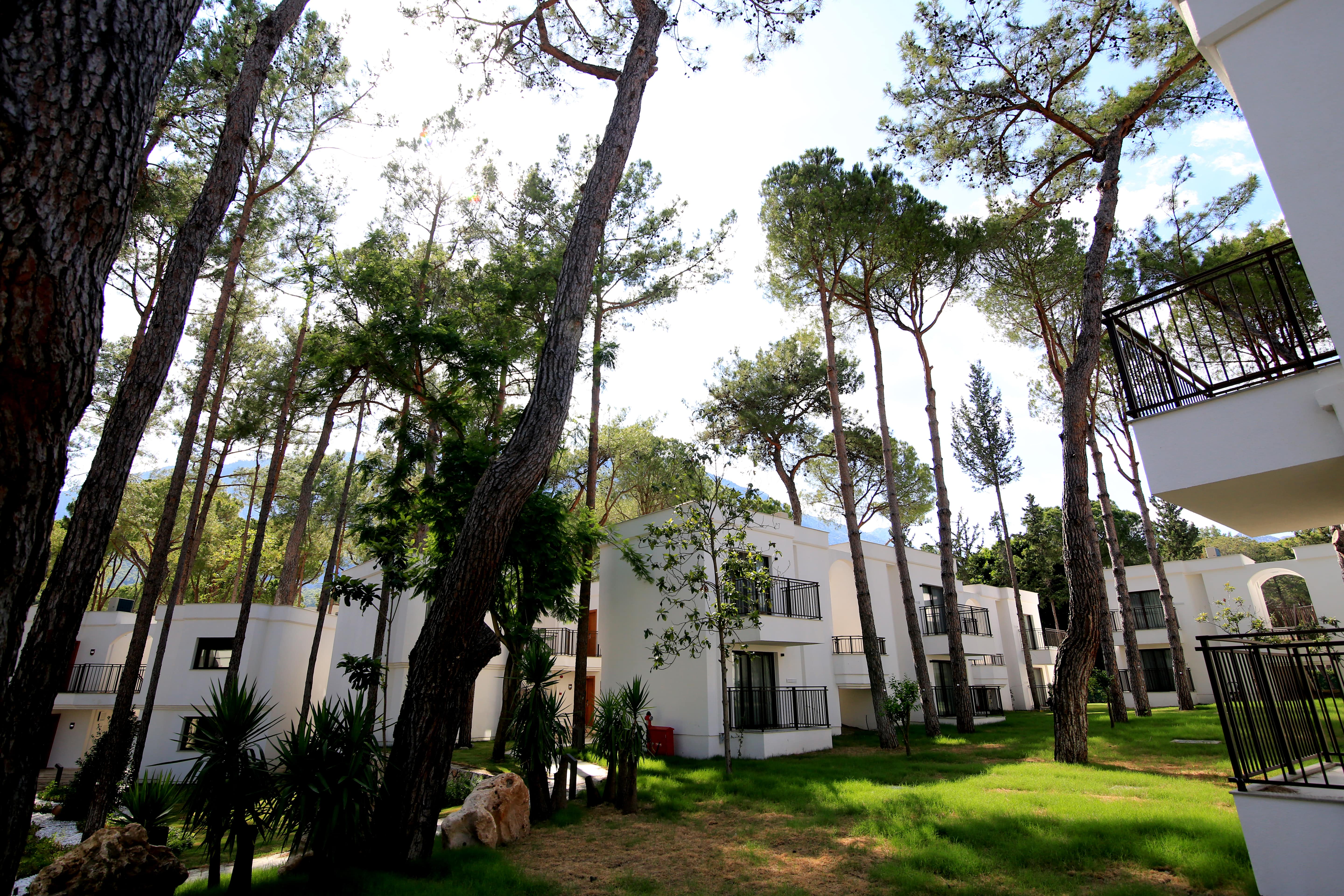 General View