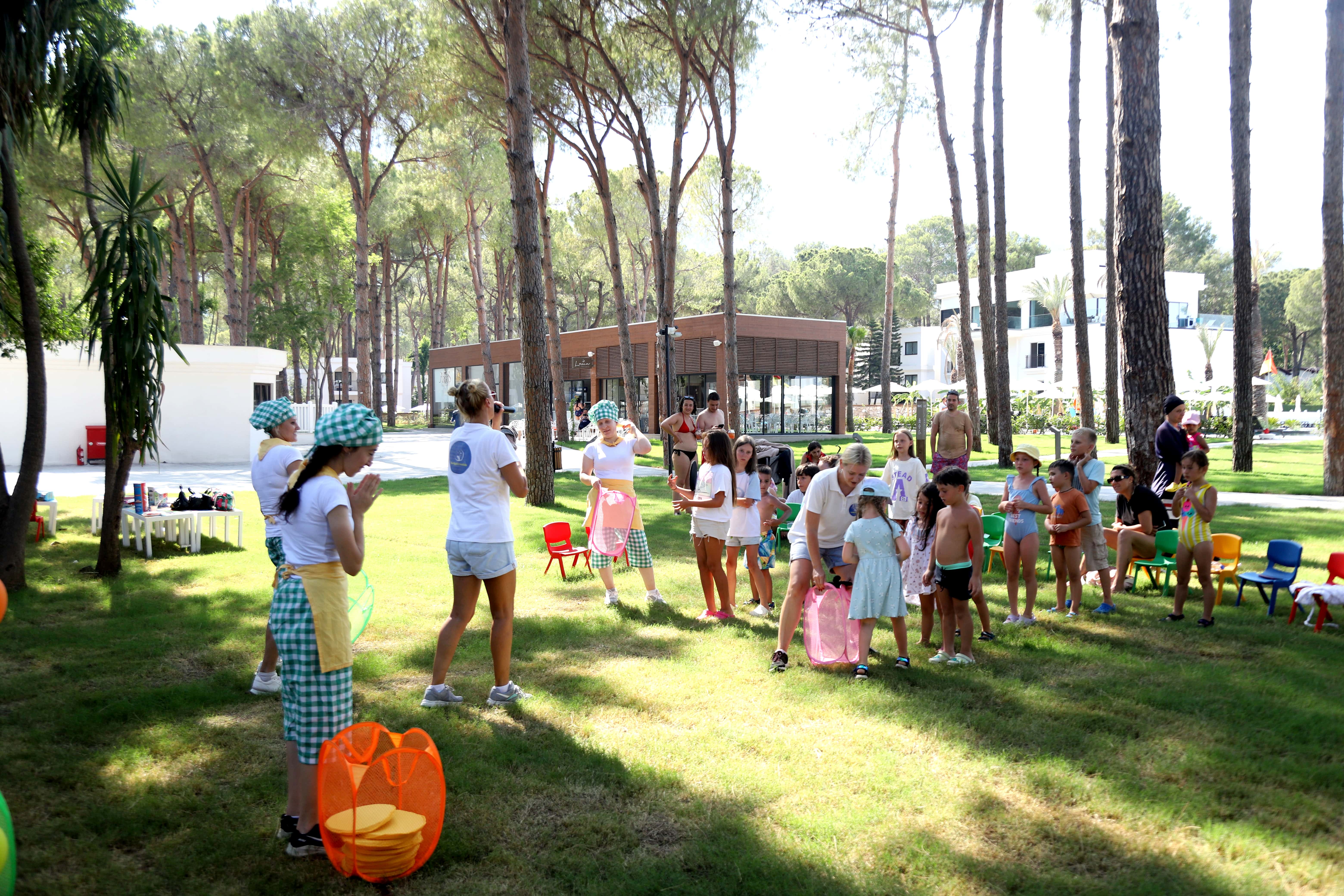 Sports and Entertainment