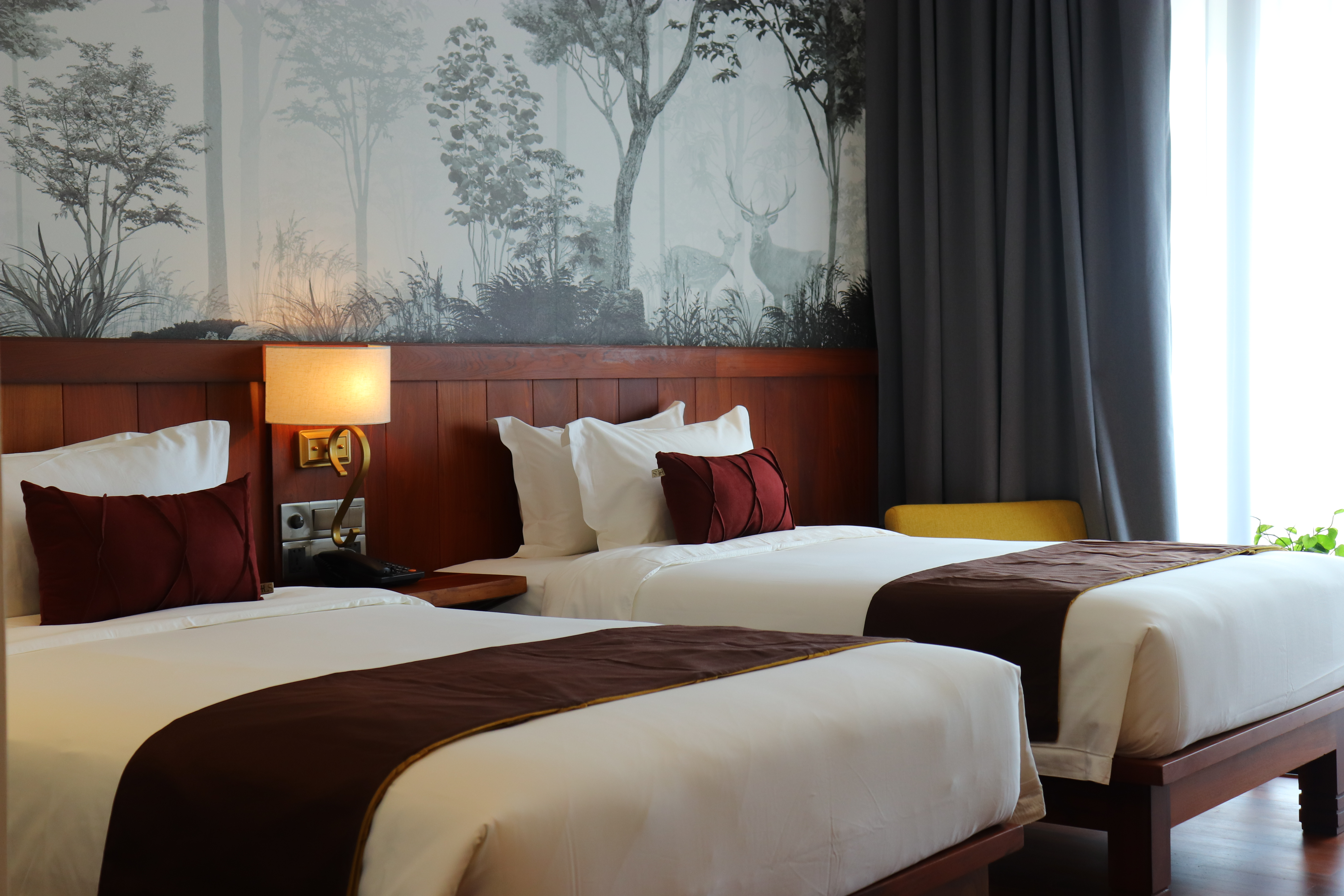 Twin Superior Two Bedrooms