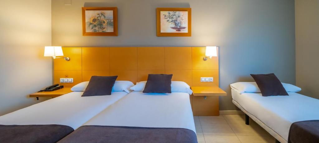 Double or Twin Standard