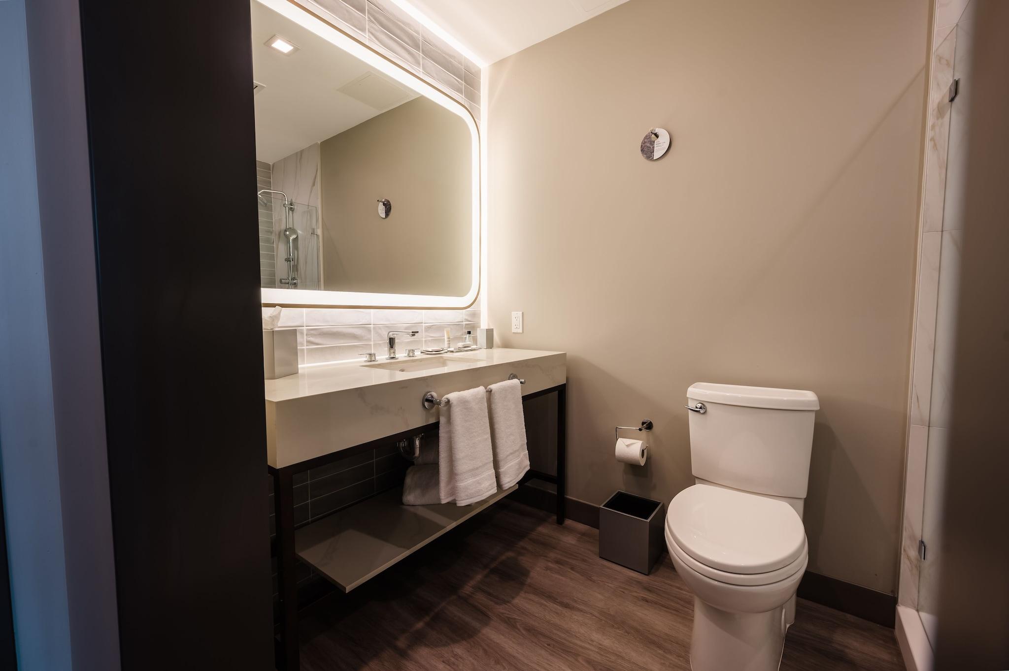 Double City View King Bed