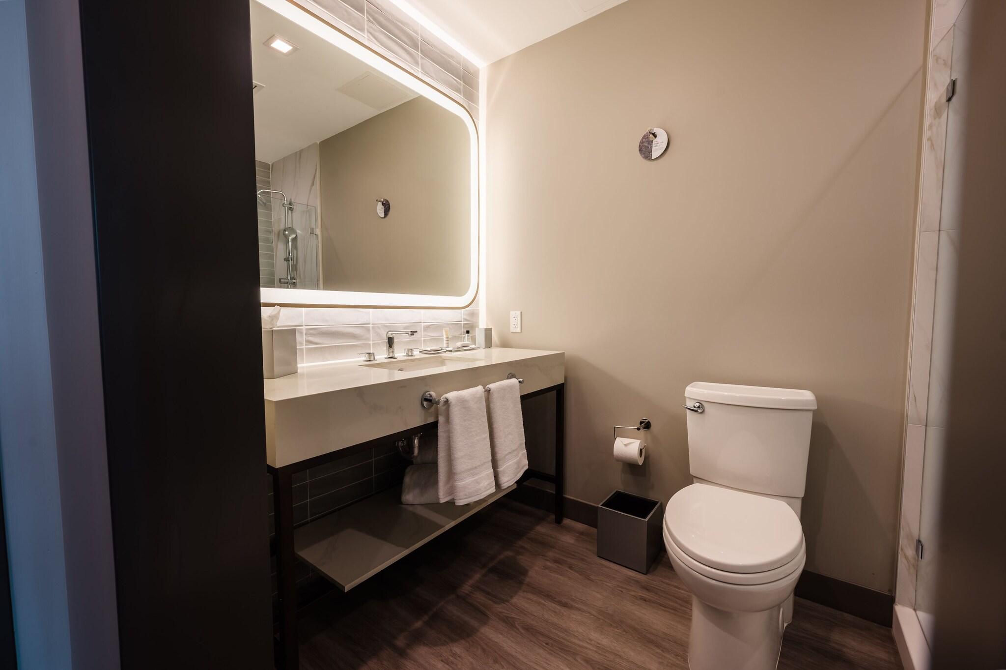 Double City View King Bed